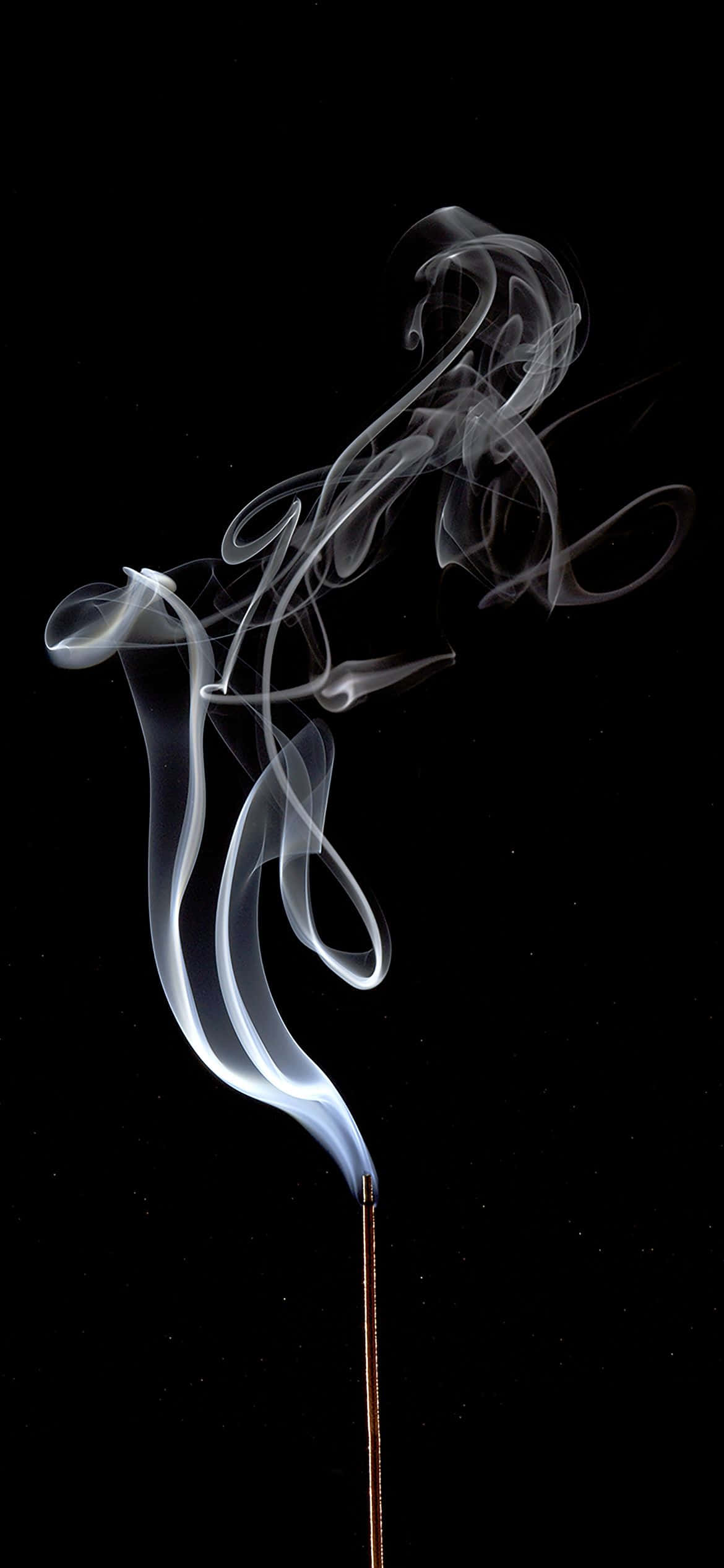 1170x2532 ควันขาวสร้างสรรค์ วอลเปเปอร์