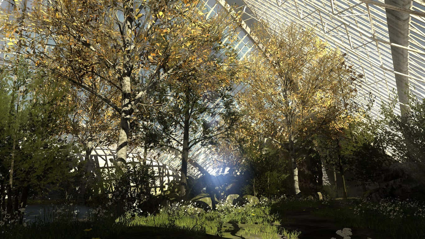 1366x768 The Talos Principle Gehenna ป่าพื้นหลัง วอลเปเปอร์