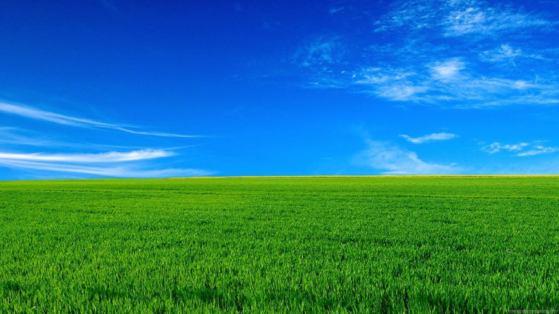 1920x1080 Full HD ธรรมชาติ หญ้าสีเขียว ท้องฟ้าสีฟ้า — ท้องฟ้า วอลเปเปอร์
