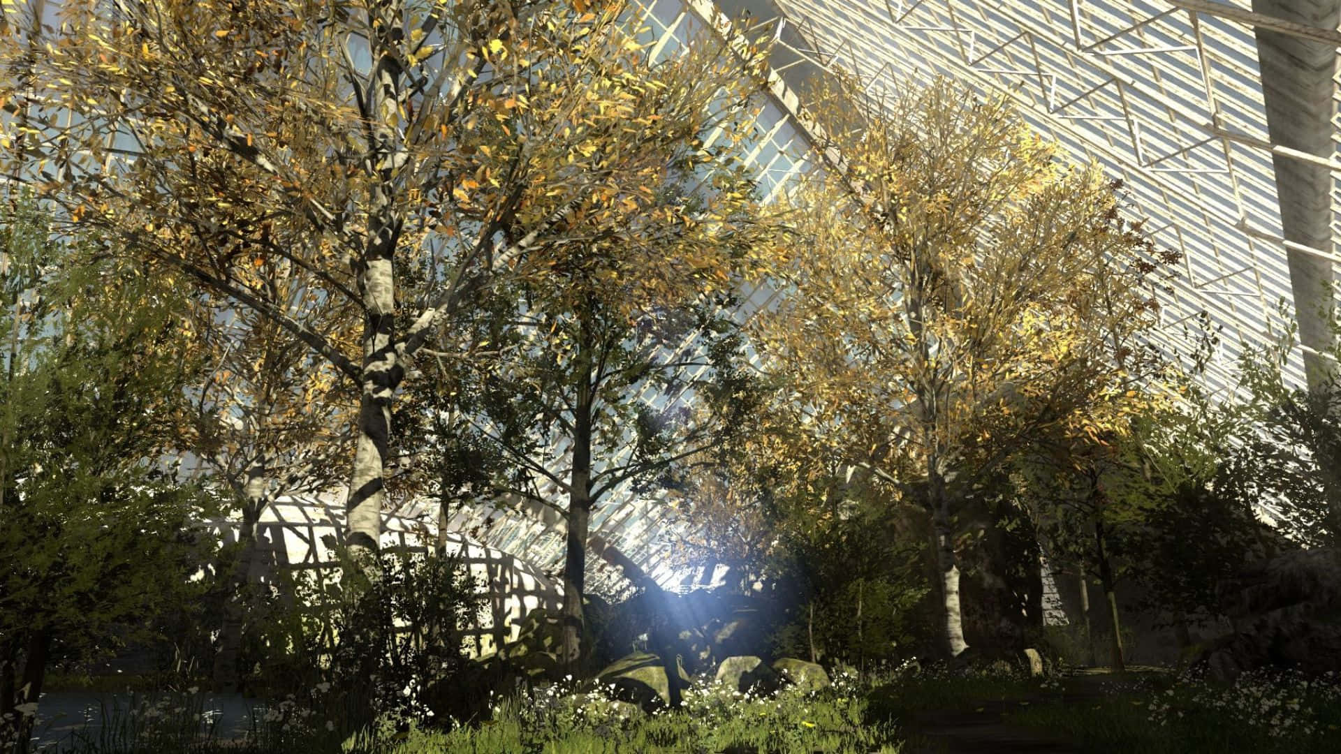 1920x1080 พื้นหลังป่าเขียวขจีจาก The Talos Principle วอลเปเปอร์