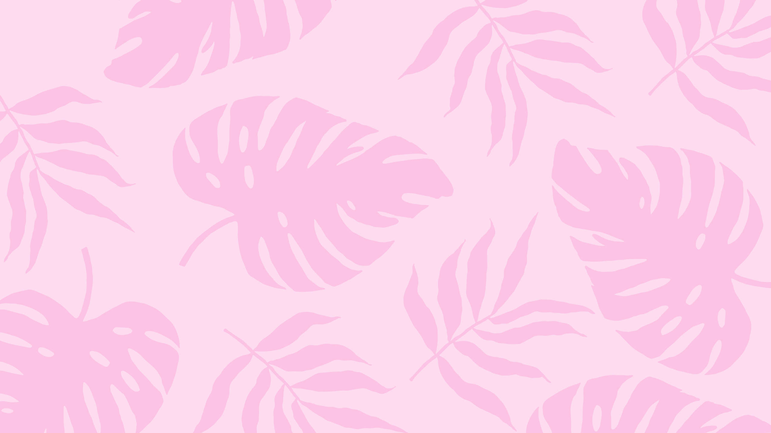 ฤดูร้อนต้นไม้สีชมพูสไตล์อีสเทติก 2560x1440 วอลเปเปอร์