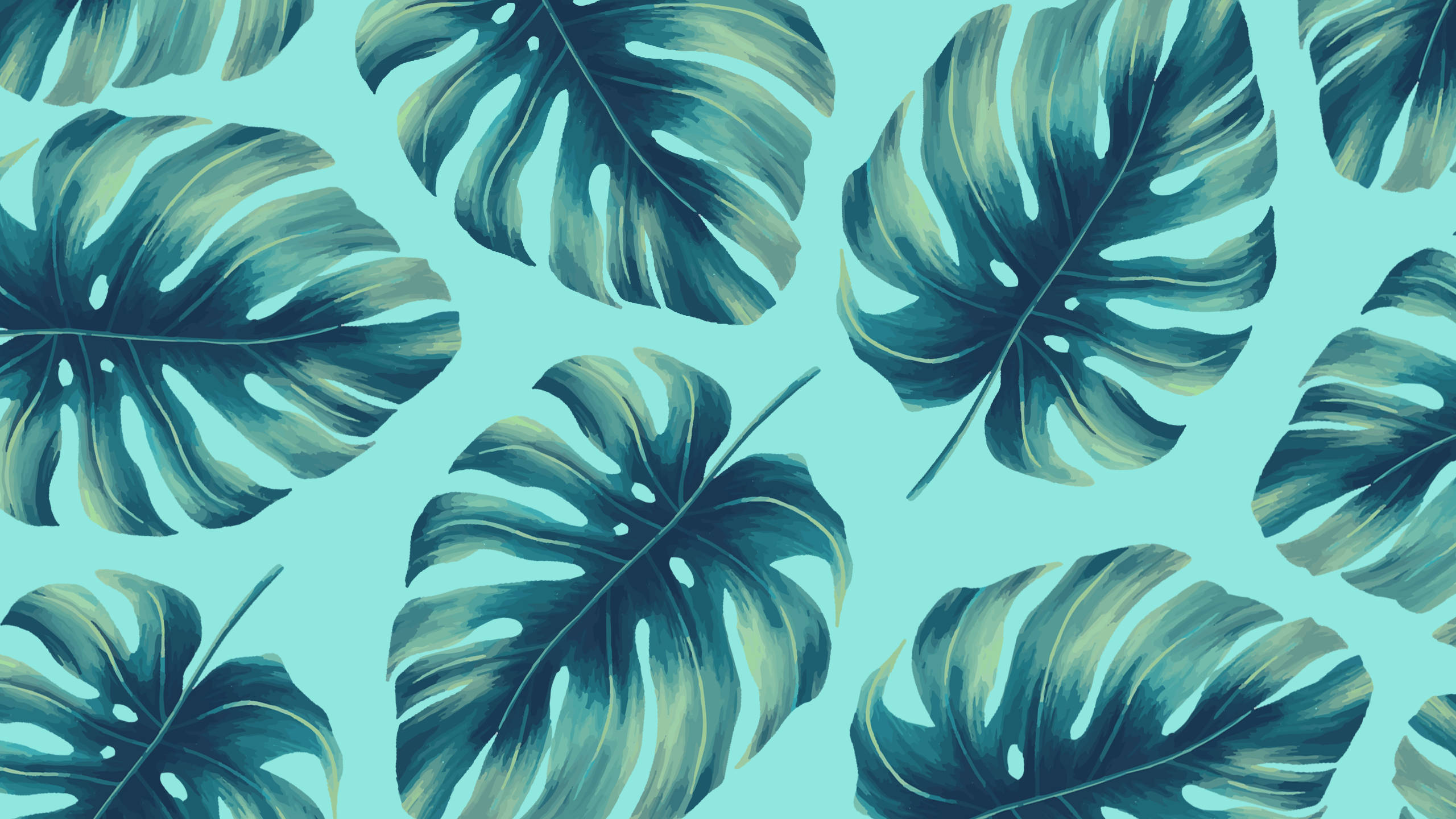 2560x1440 ฤดูร้อน ใบไม้สีเขียว วอลเปเปอร์