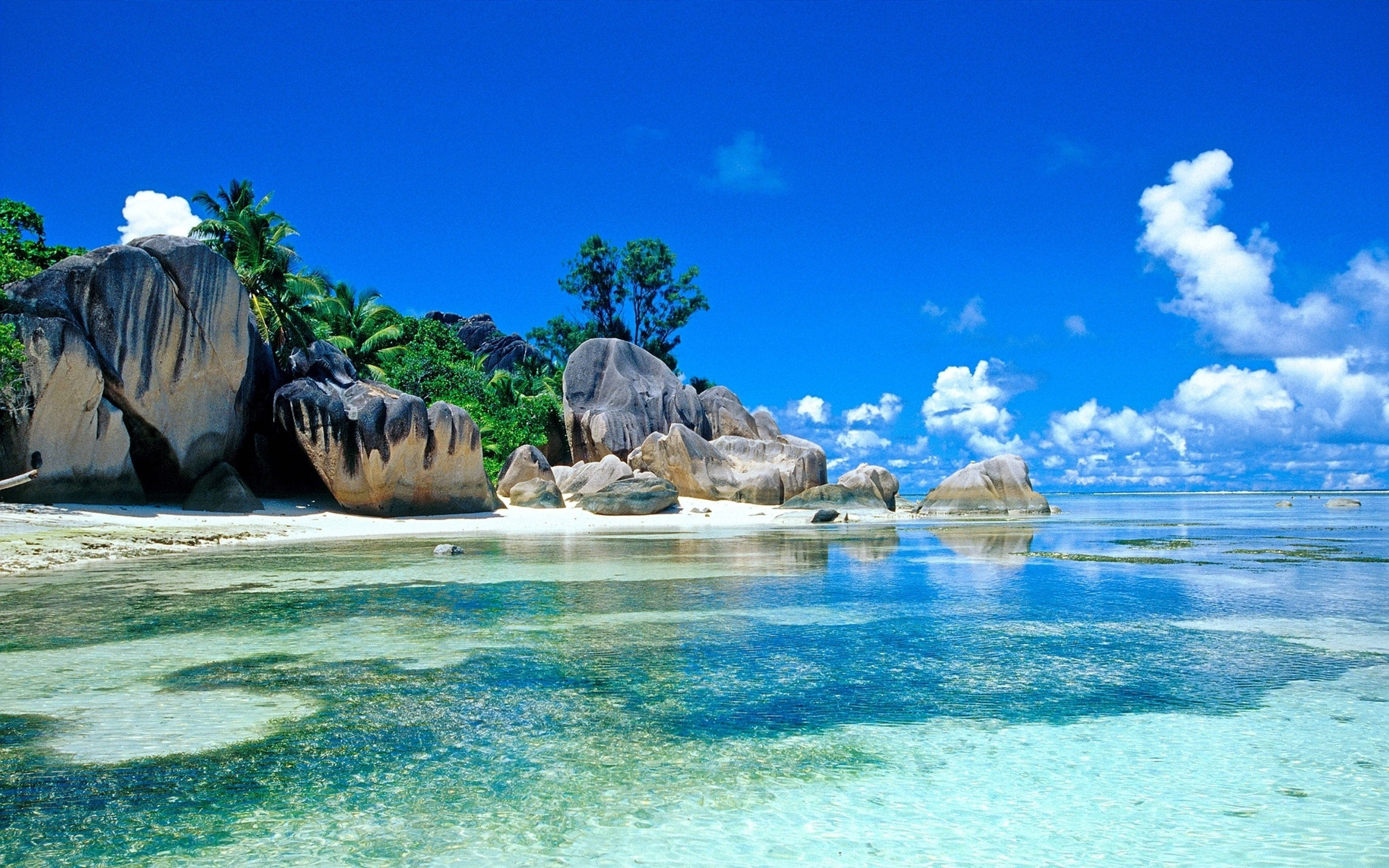 32K อัลตร้า HD ชายหาดธรรมชาติ น้ำใส วอลเปเปอร์