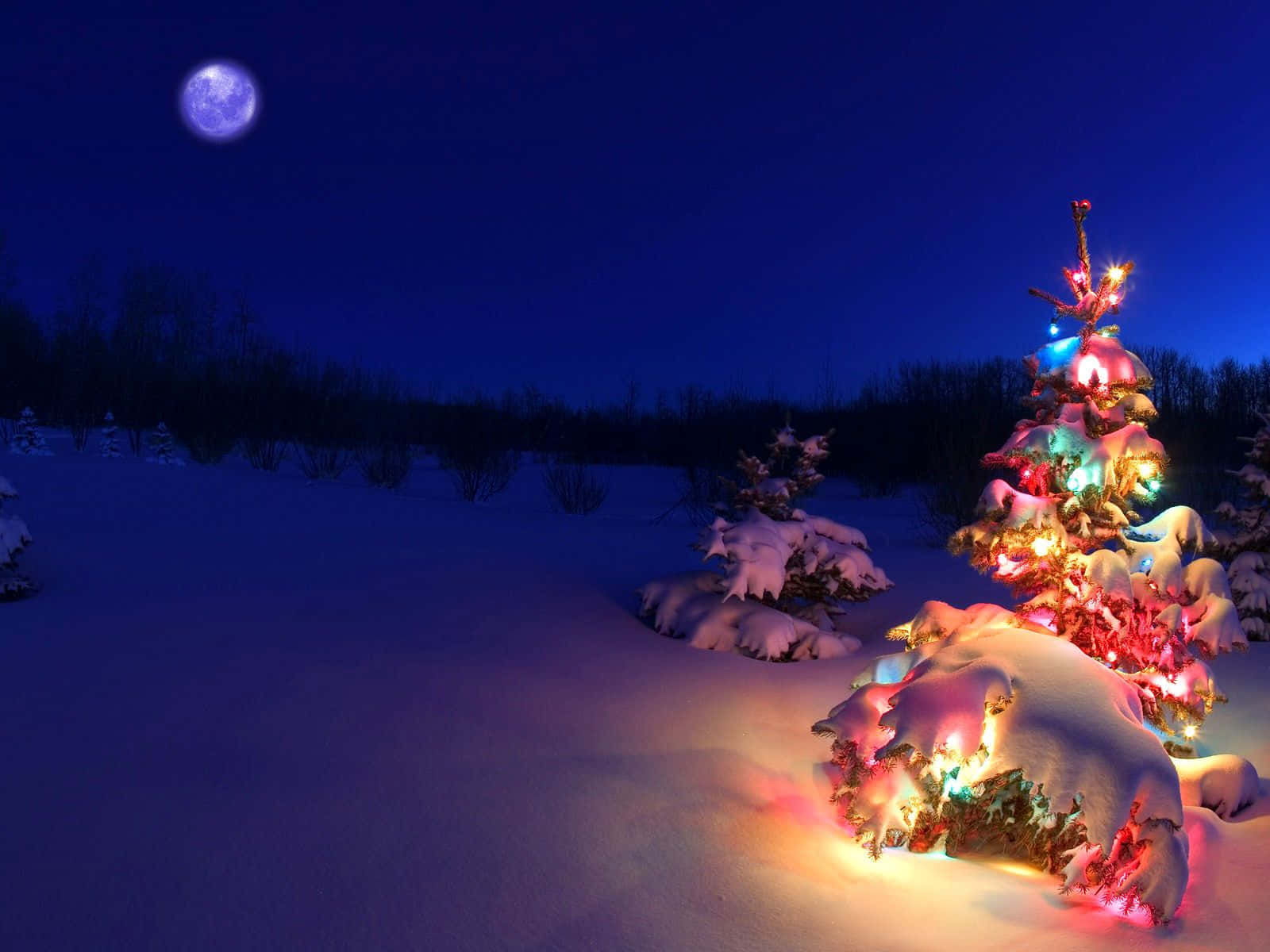 การเปลี่ยนแปลงของสครูจในเรื่องคริสต์มาสคลาสสิก 'A Christmas Carol' วอลเปเปอร์