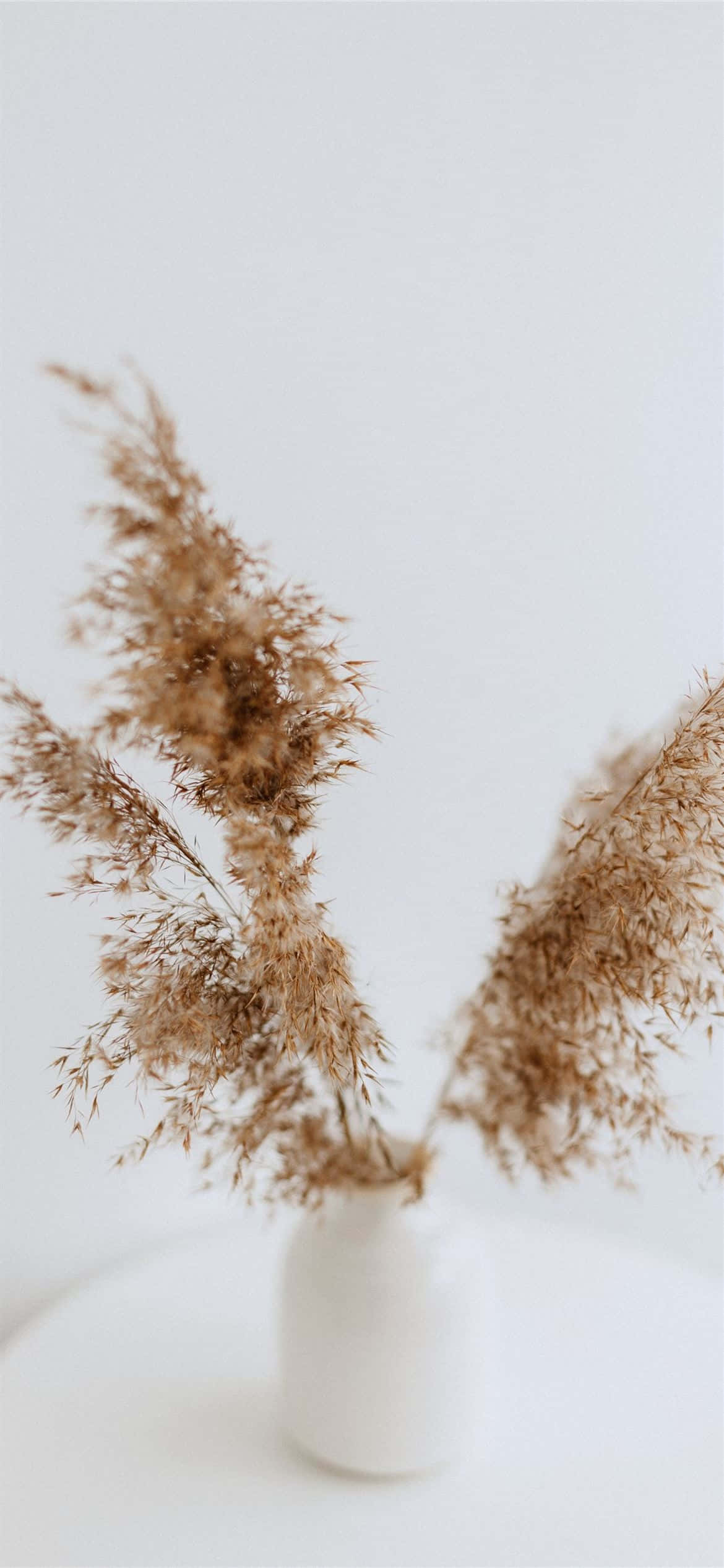 A warm pattern of brown and white showcasing natural elegance วอลเปเปอร์