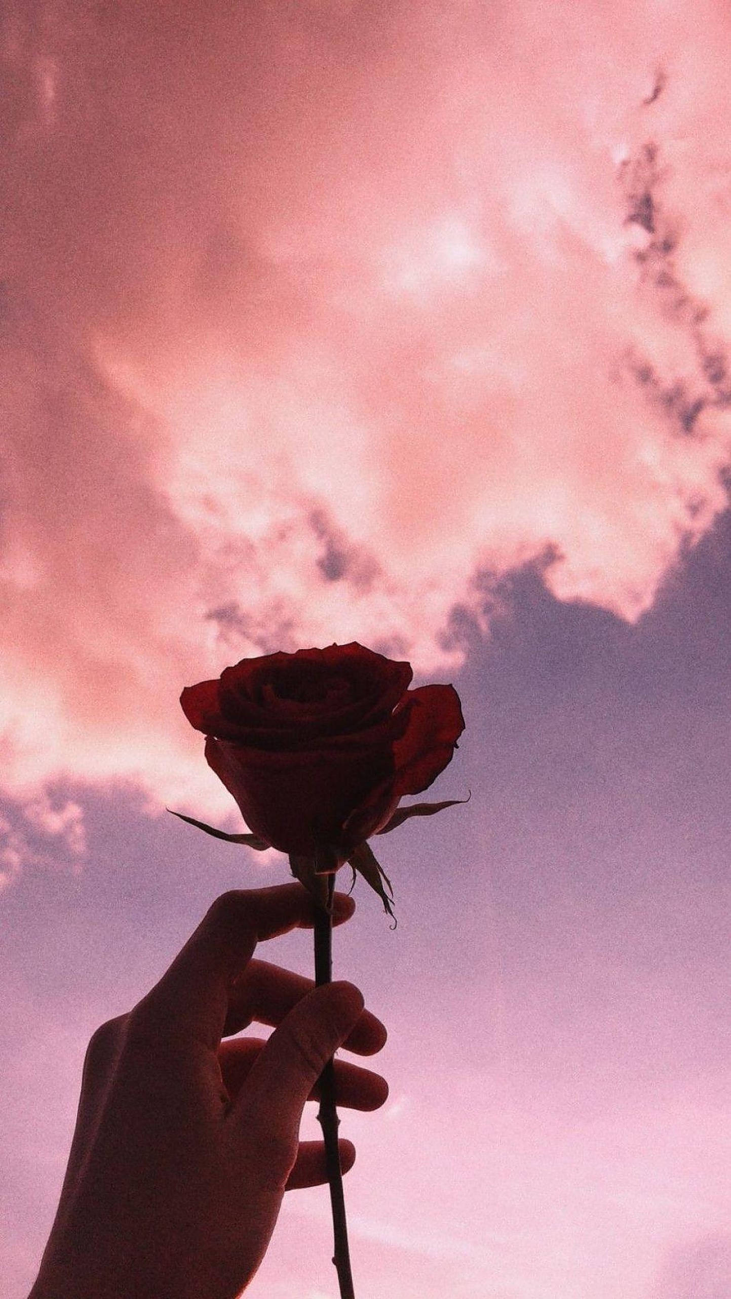 โอบรับความเรียบง่าย - สาวสวยสไตล์ aesthetic ในแสงธรรมชาติ วอลเปเปอร์
