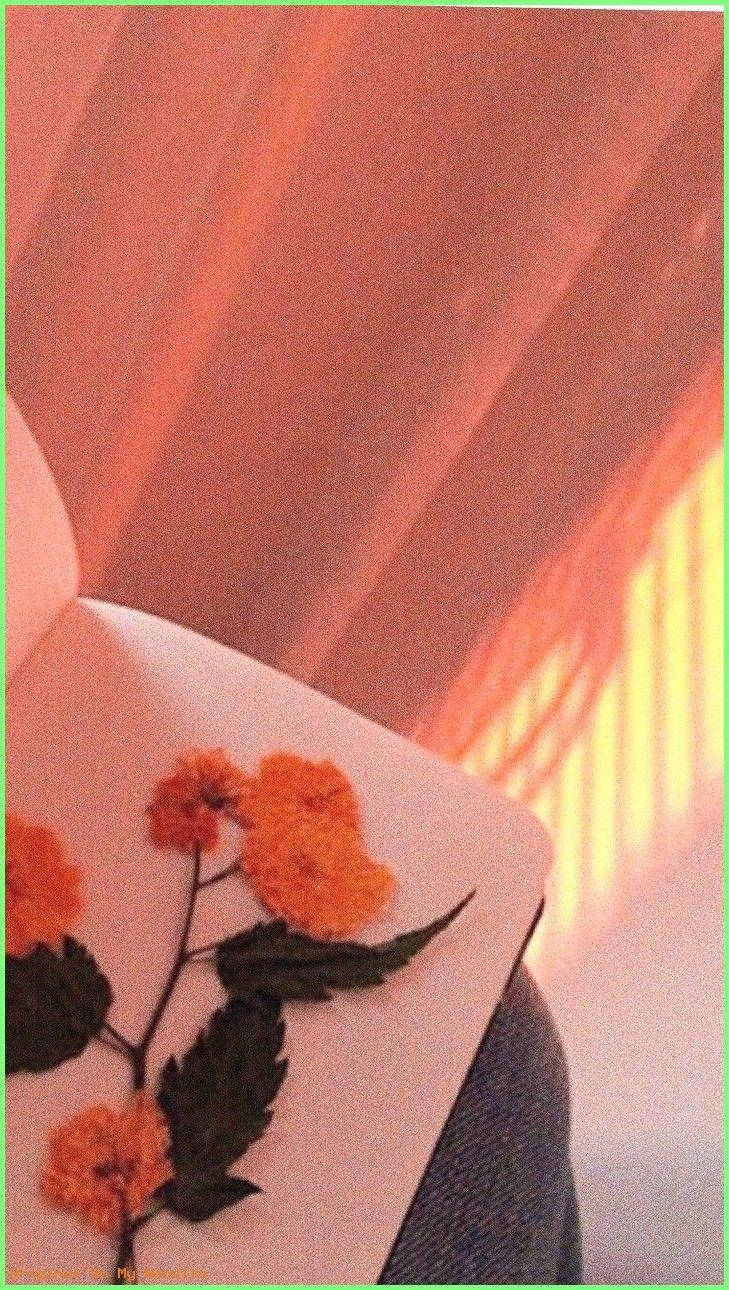 ดอกไม้สีพาสเทลส้ม aesthetic วอลเปเปอร์