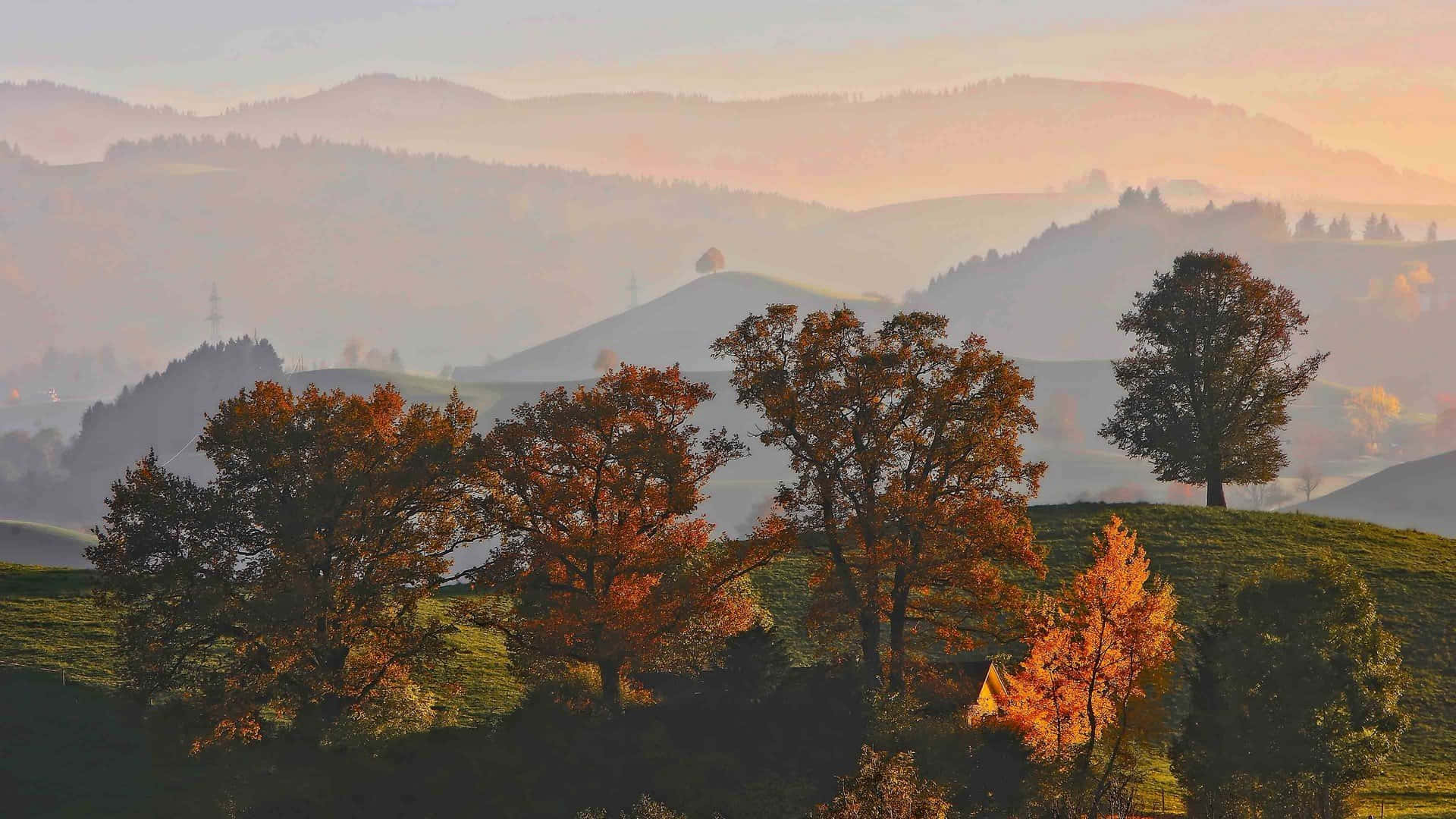 เพลิดเพลินกับความงามของฤดูใบไม้ร่วงด้วยสีสันและทิวทัศน์ Aesthetic Fall ที่สวยงามตระการตา วอลเปเปอร์
