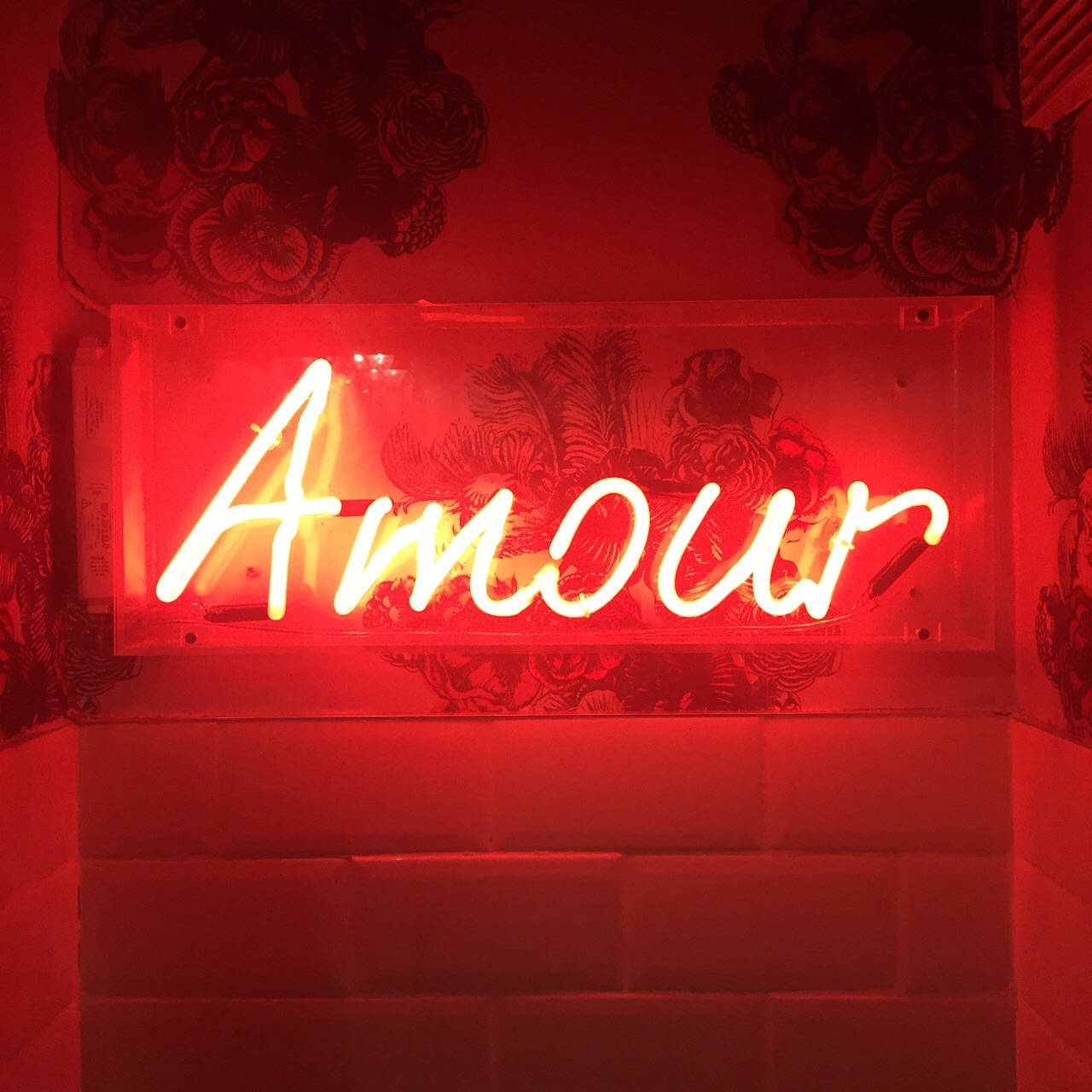 อักษรเรียงคำว่า Amour สีแดงนีออน วอลเปเปอร์