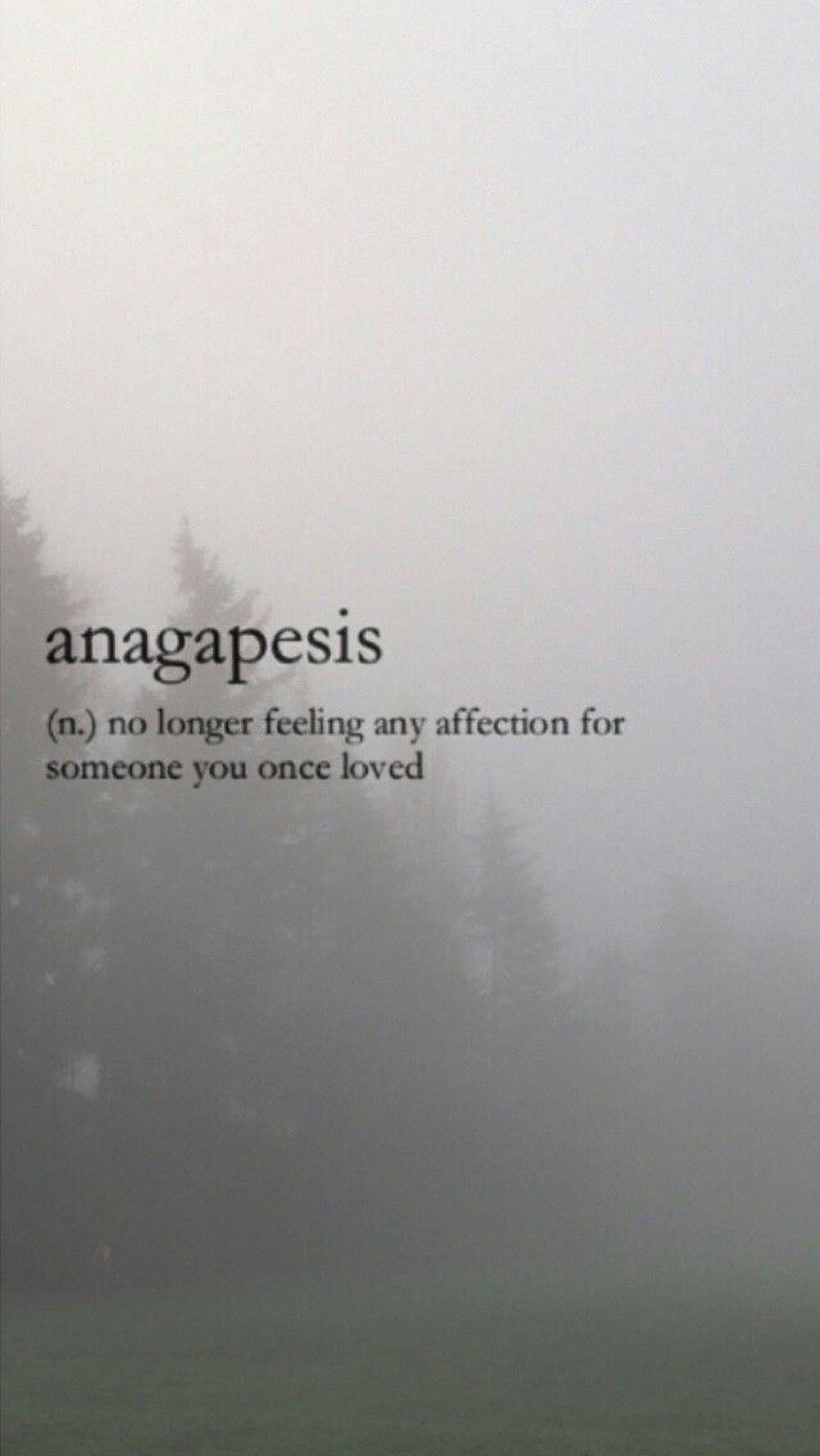 Anagapesis คำสวยงาม วอลเปเปอร์