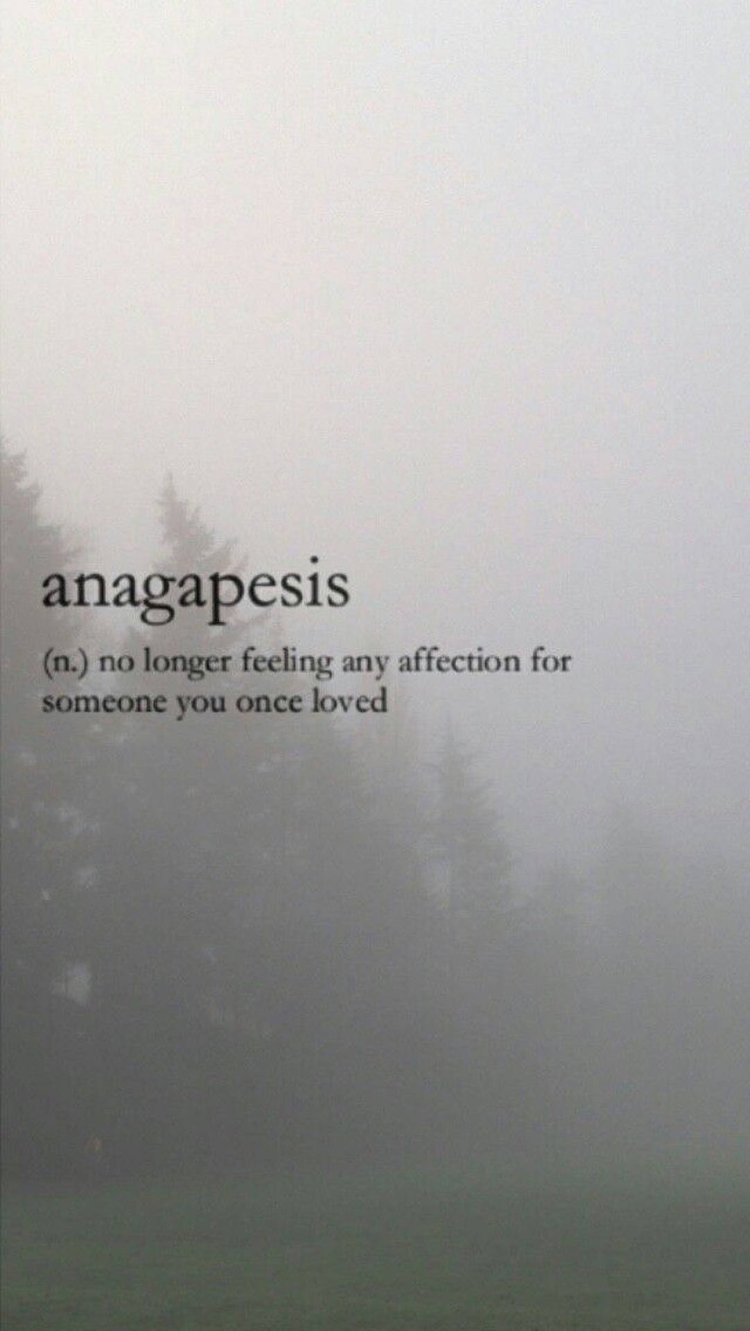 วอลเปเปอร์คำสวยงาม Anagapesis — สุนทรียภาพคำคม GIF วอลเปเปอร์