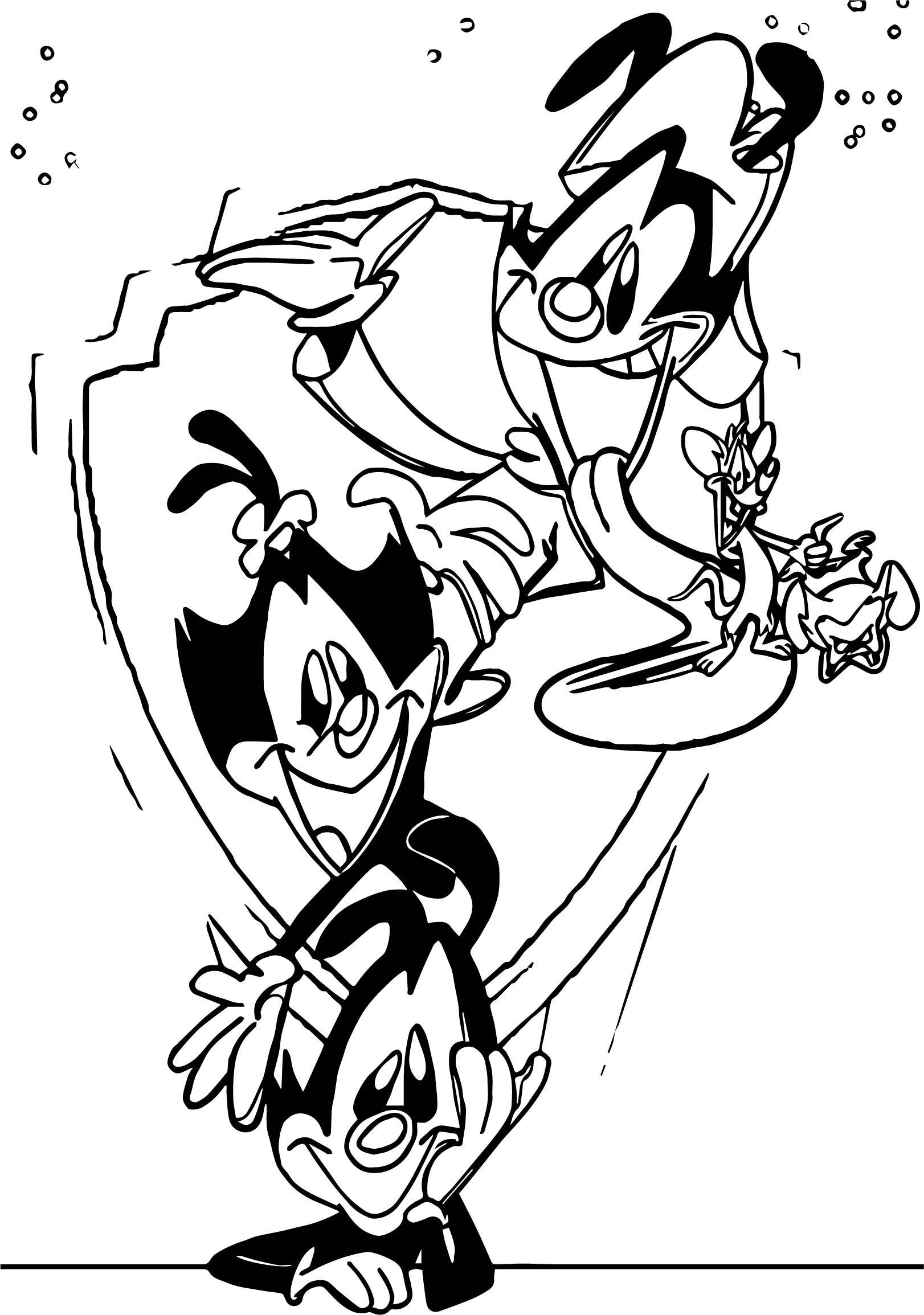 ภาพร่างศิลปะพี่น้องวอร์เนอร์จาก Animaniacs วอลเปเปอร์