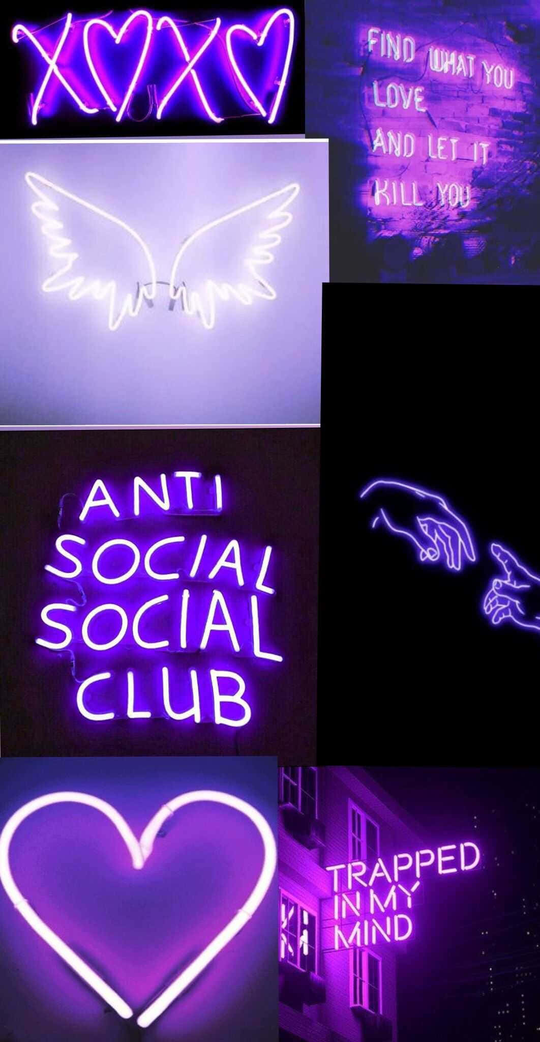 คอลเลกชันป้ายนีออนที่มีคำว่า Anti Social Club วอลเปเปอร์