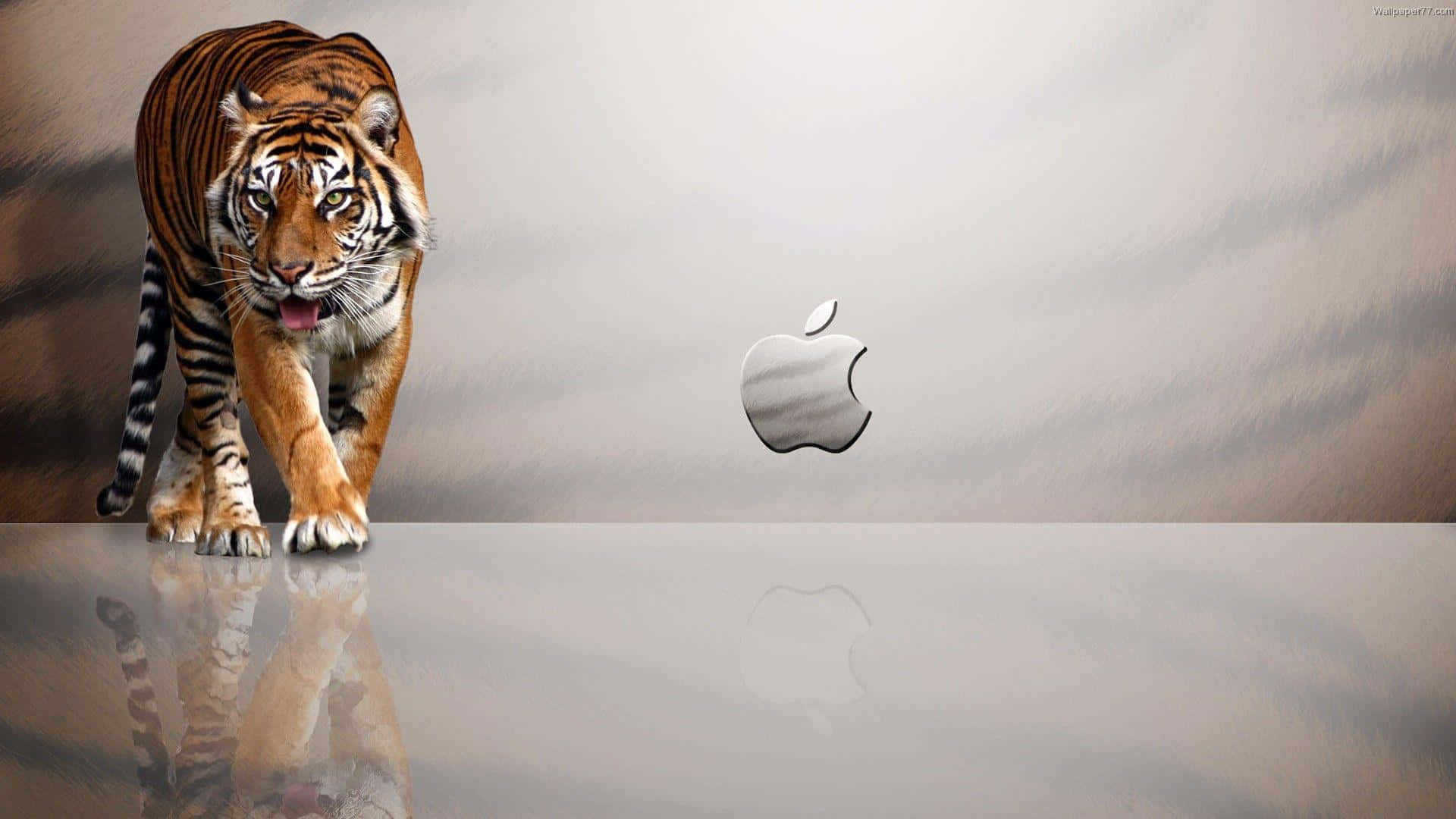 พื้นหลัง Apple ขนาด 1920x1080 ลายเสือ วอลเปเปอร์