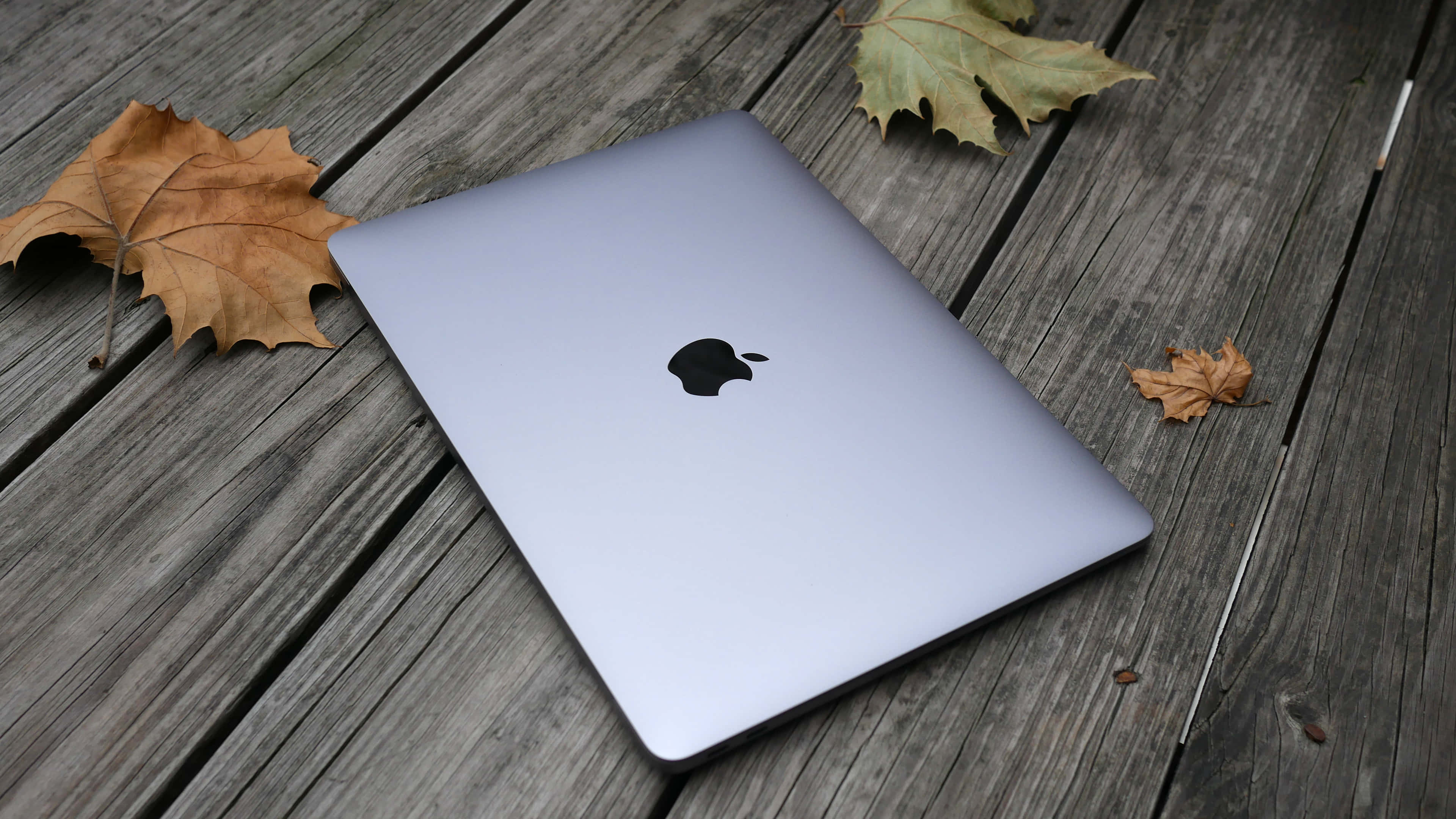 แล็ปท็อป Apple MacBook สีขาว วอลเปเปอร์