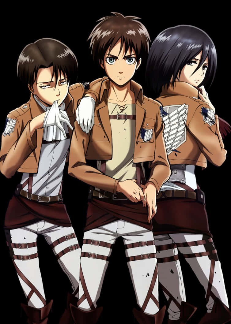 ตัวละครหลัก Attack on Titan วอลเปเปอร์