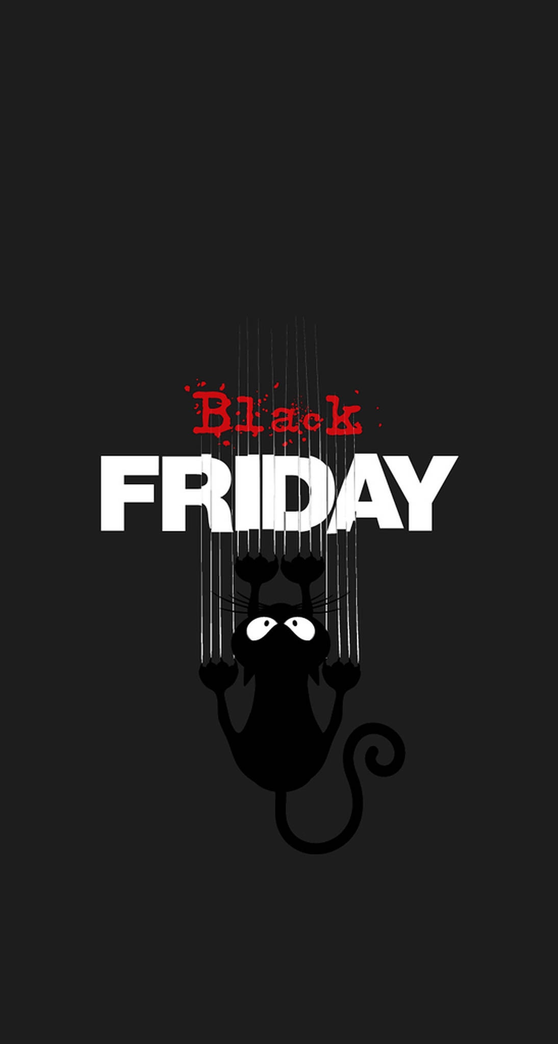 แมวเหมียวในเทศกาลลดราคา Black Friday วอลเปเปอร์