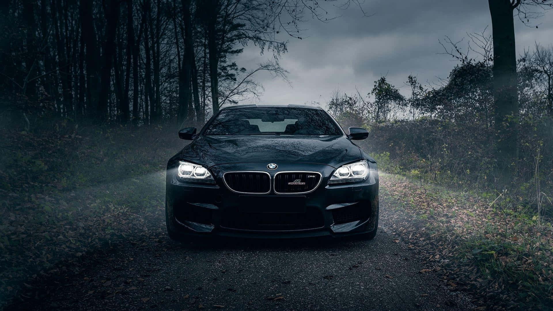 BMW 1920x1080 ขับขี่กลางคืนในป่า วอลเปเปอร์