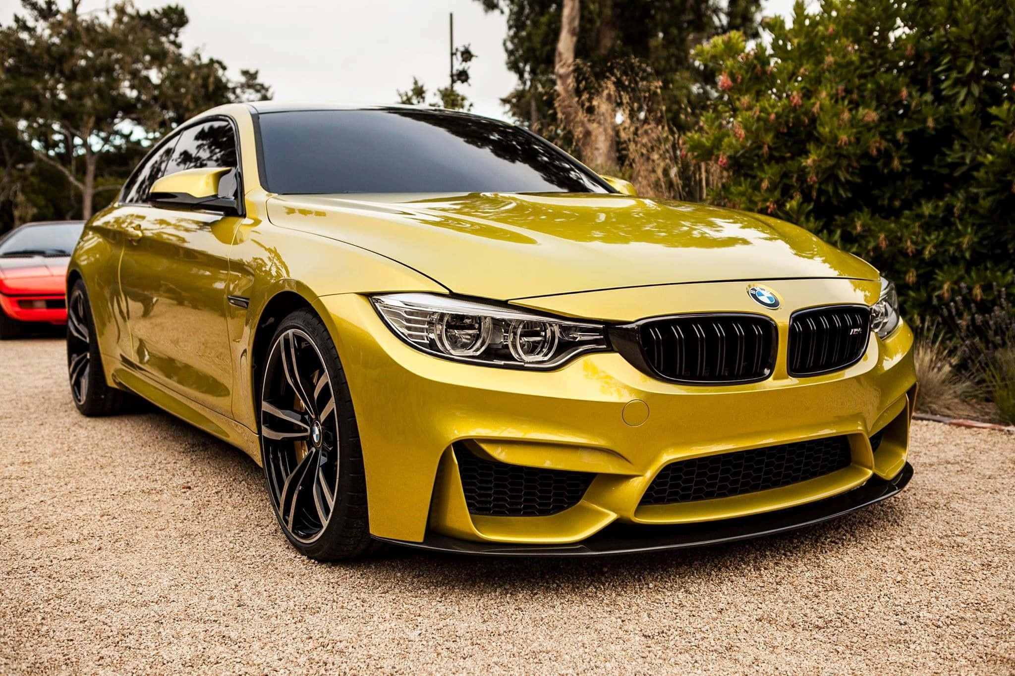 รถหรู BMW สีทอง วอลเปเปอร์