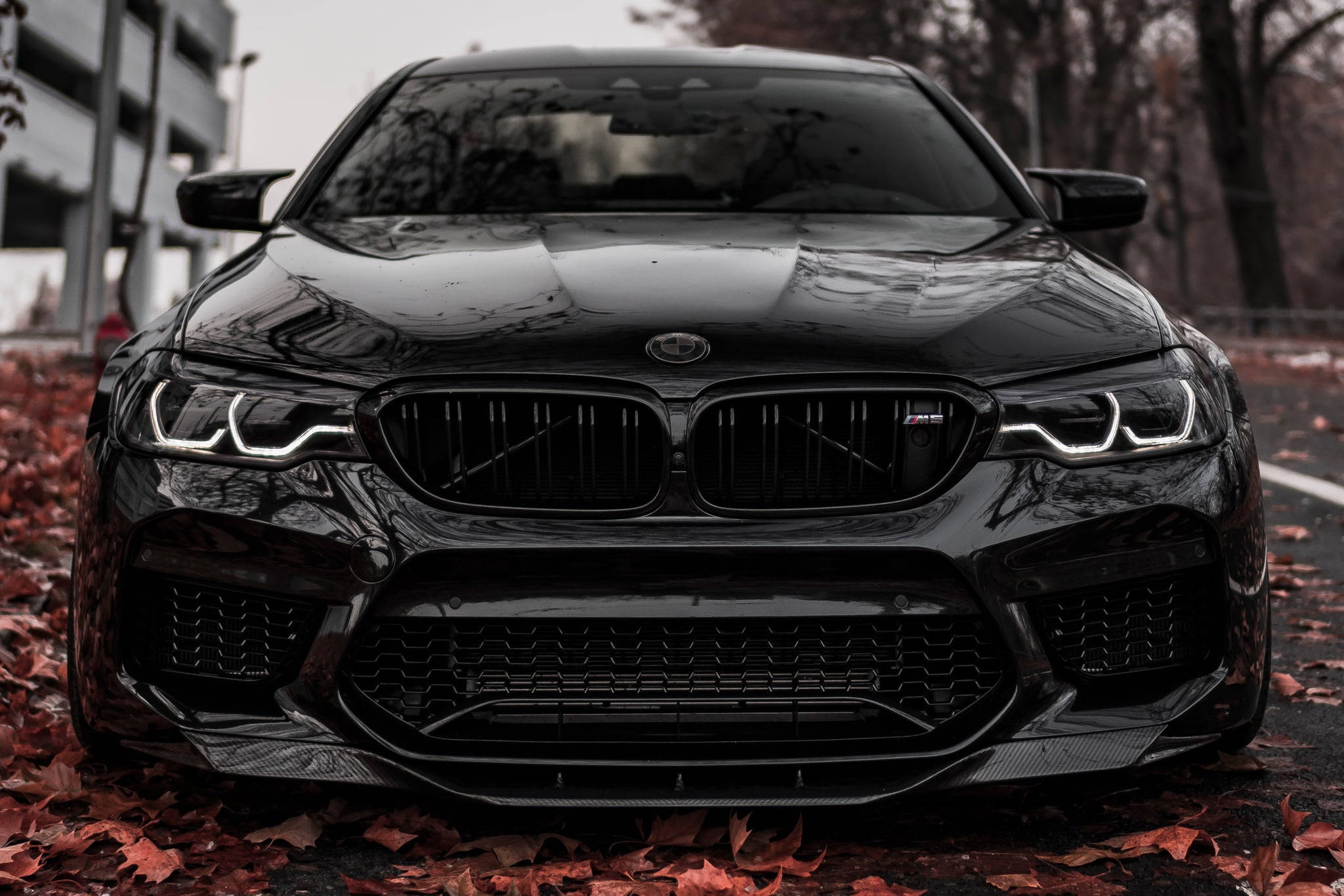 BMW M5 สีดำเงาบนพื้นใบไม้ร่วง วอลเปเปอร์