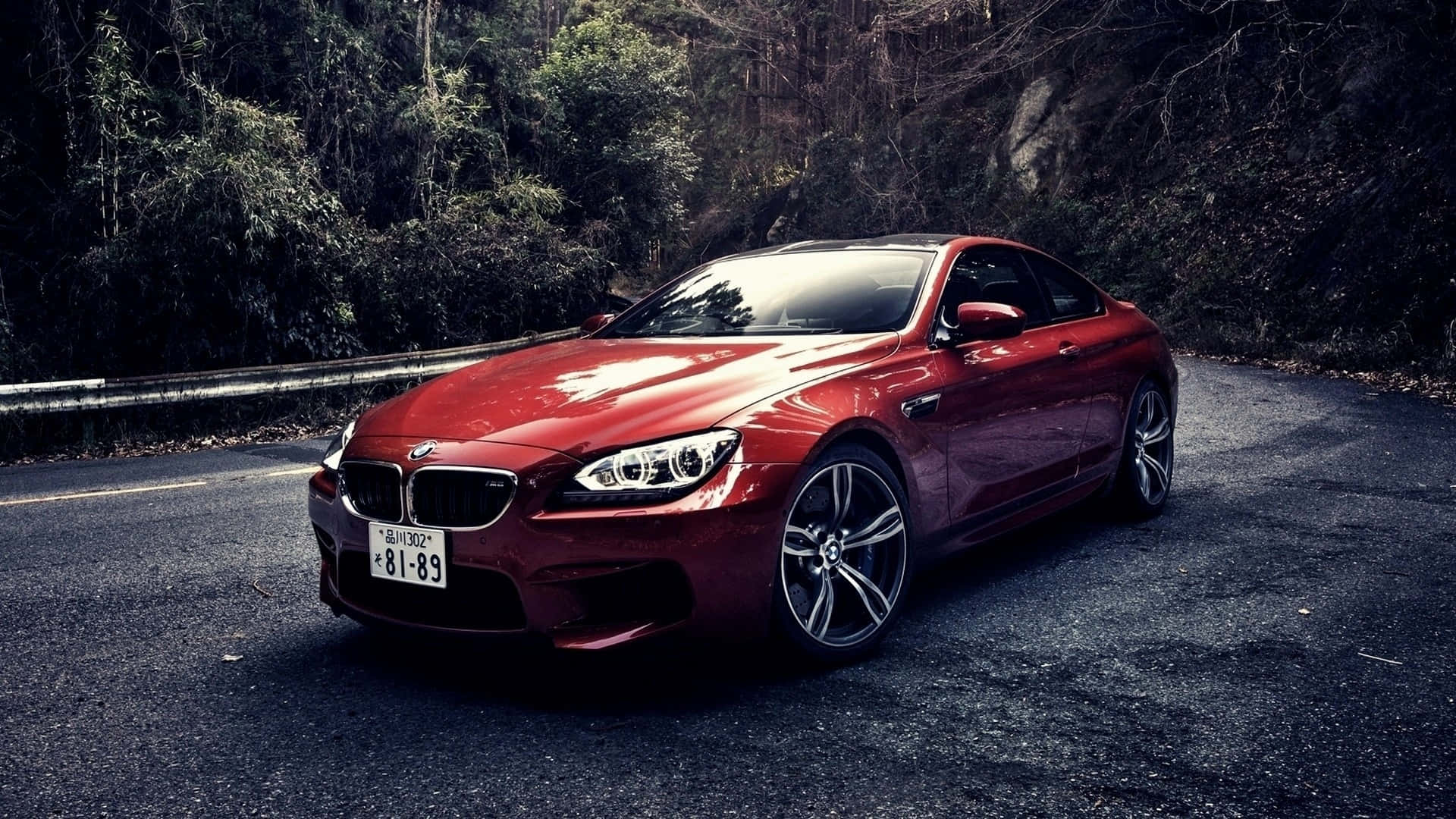 พื้นหลัง BMW ถนนกลางป่า วอลเปเปอร์