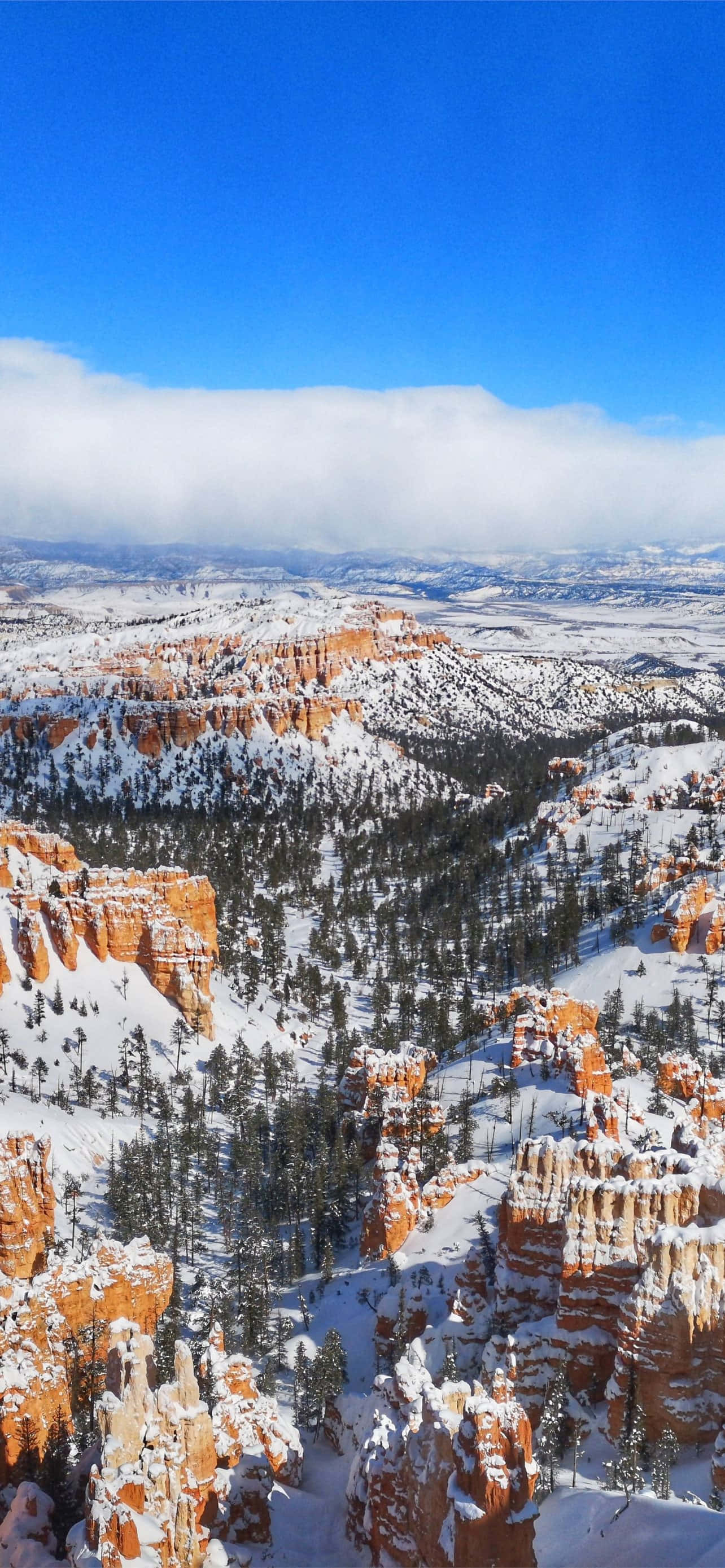 อุทยานแห่งชาติ Bryce Canyon หิมะลึก วอลเปเปอร์
