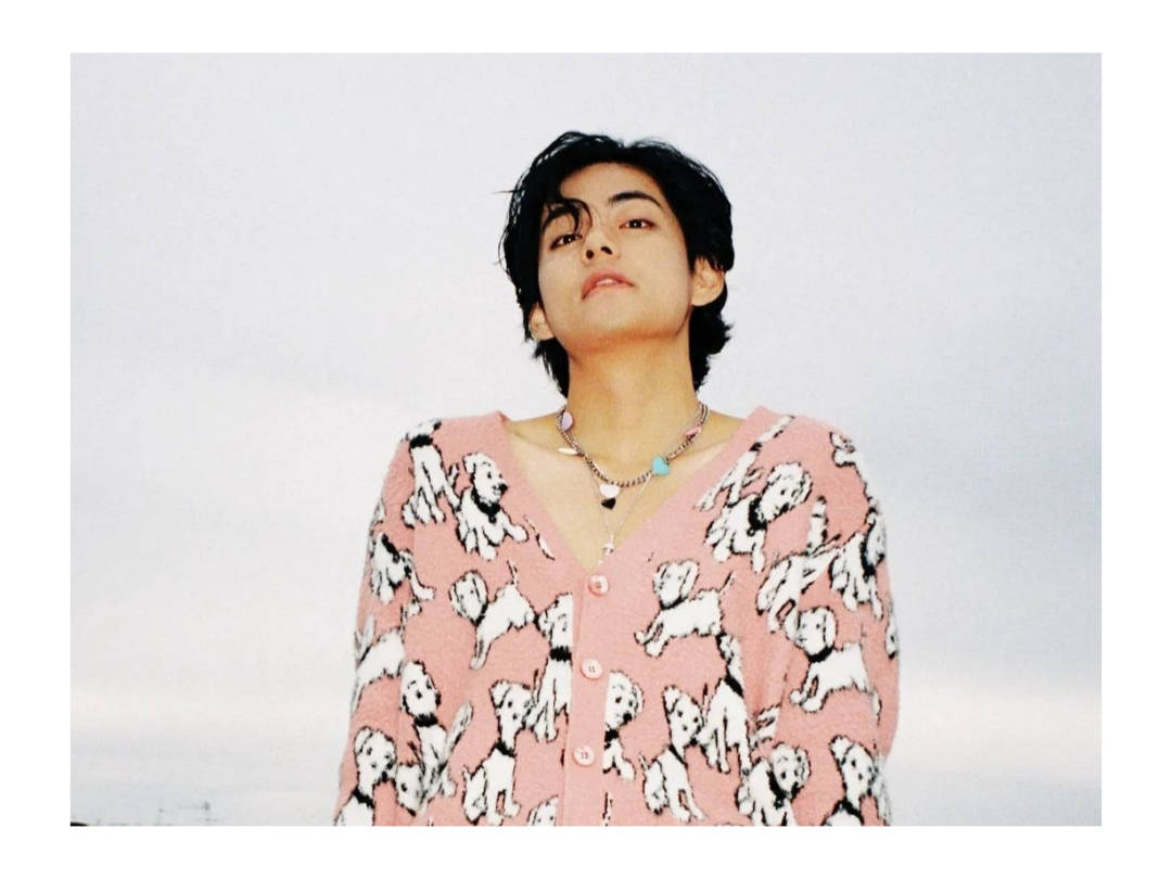 BTS V สวมเสื้อคาร์ดิแกนลายลูกหมูสีชมพู วอลเปเปอร์