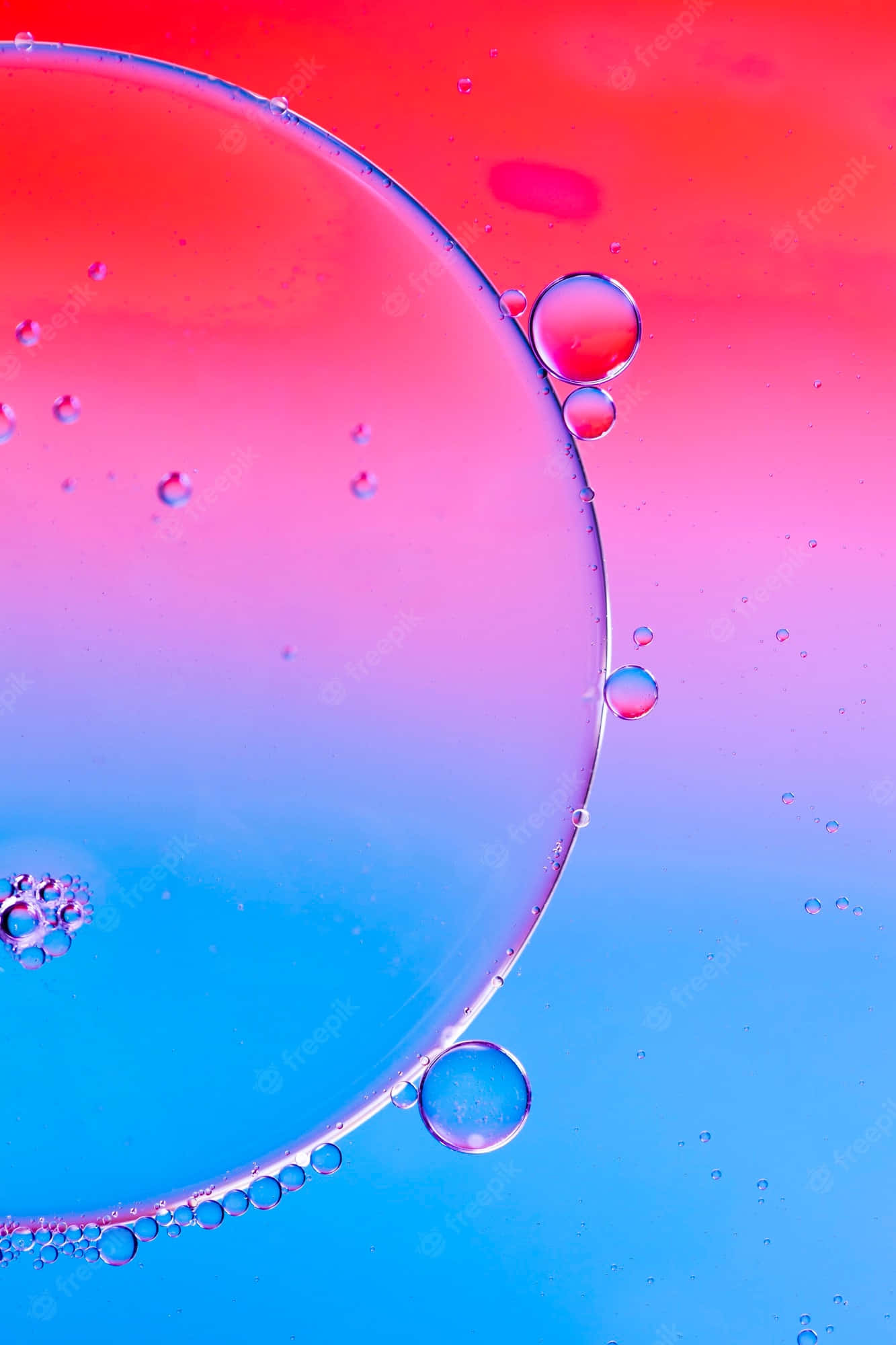 เตรียมพร้อมพูดคุยและสำรวจโลกด้วย Bubbles Phone! วอลเปเปอร์