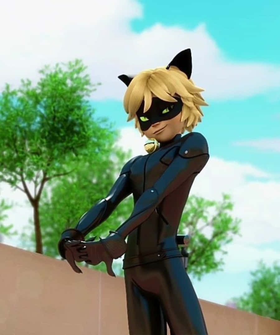 แมวสุดเท่แห่งเมือง - Cat Noir วอลเปเปอร์