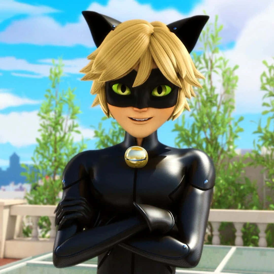 Cat Noir - ผู้พิทักษ์ยามราตรี วอลเปเปอร์