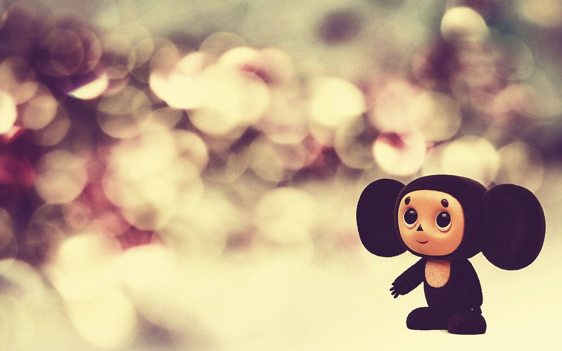 Cheburashka โบเกหน้าสวยสำหรับเดสก์ท็อป วอลเปเปอร์