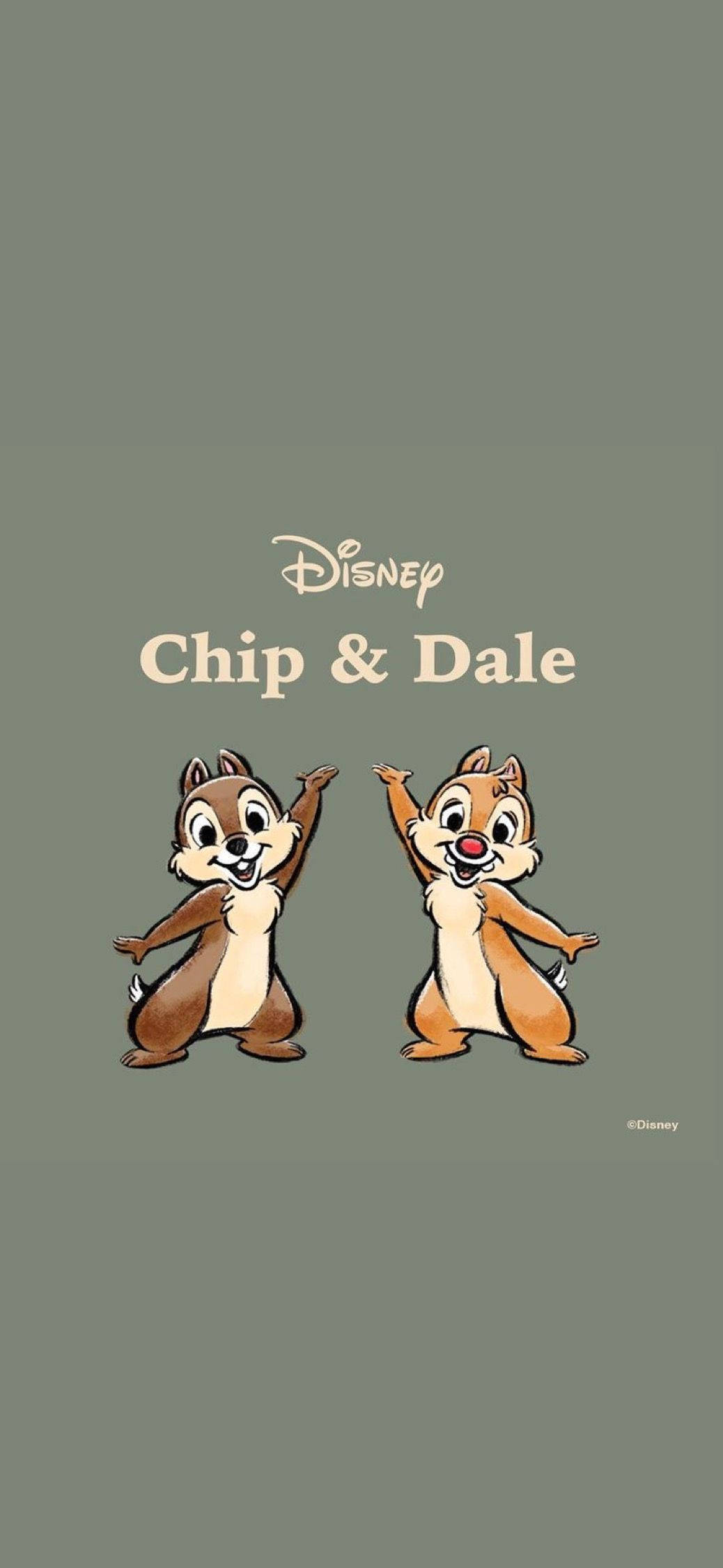 Chip N Dale บนพื้นหลังสีเทา วอลเปเปอร์