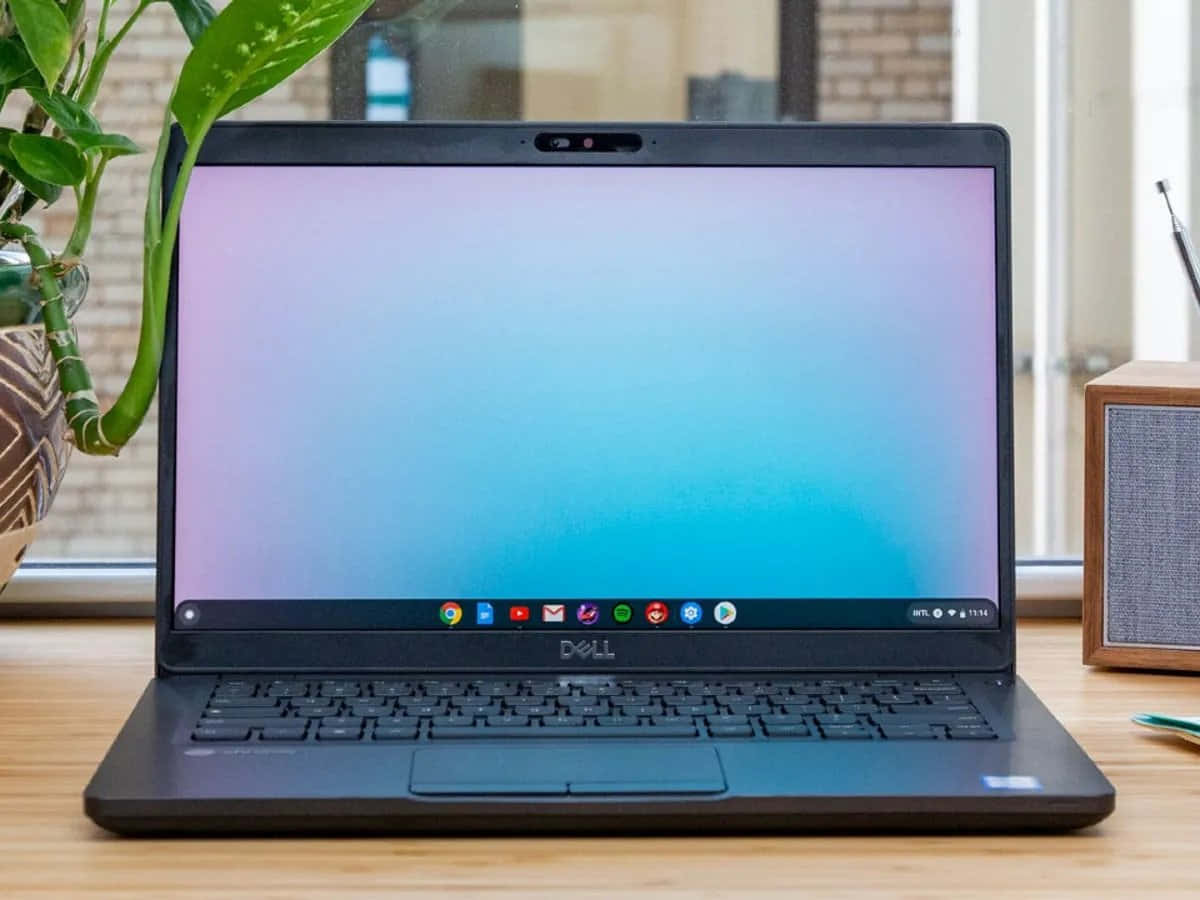 แนะนำ Chromebook: โน้ตบุ๊คราคาประหยัดและมีสไตล์ วอลเปเปอร์