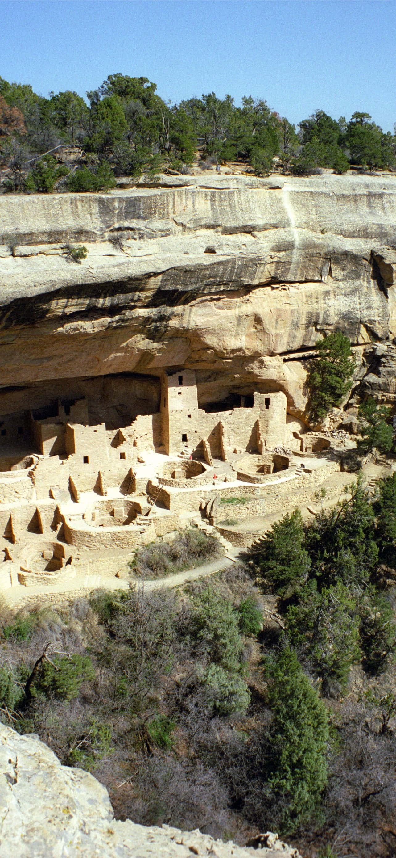 Cliff Palace สีแทน อุทยานแห่งชาติ Mesa Verde วอลเปเปอร์
