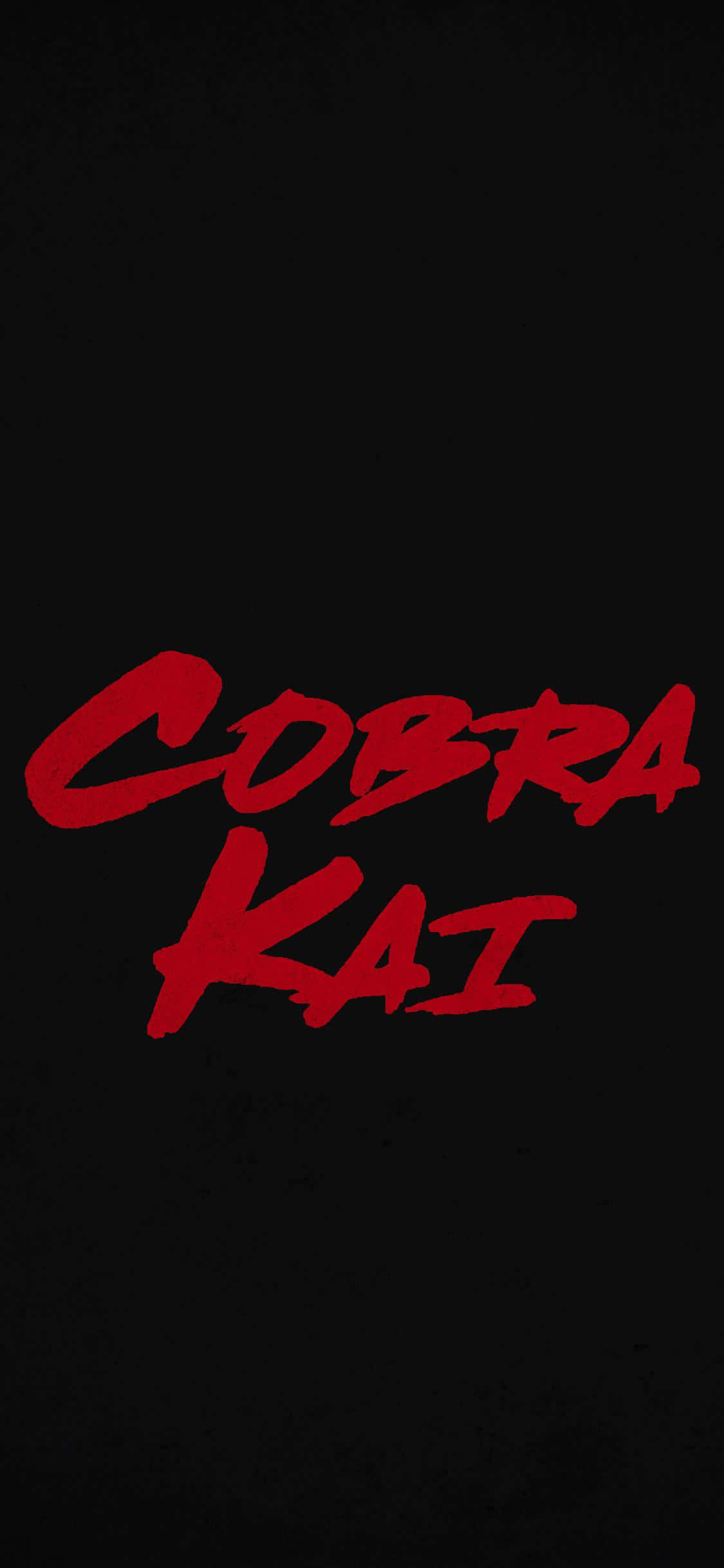 พื้นหลังข้อความ Cobra Kai สำหรับ iPhone Xr วอลเปเปอร์