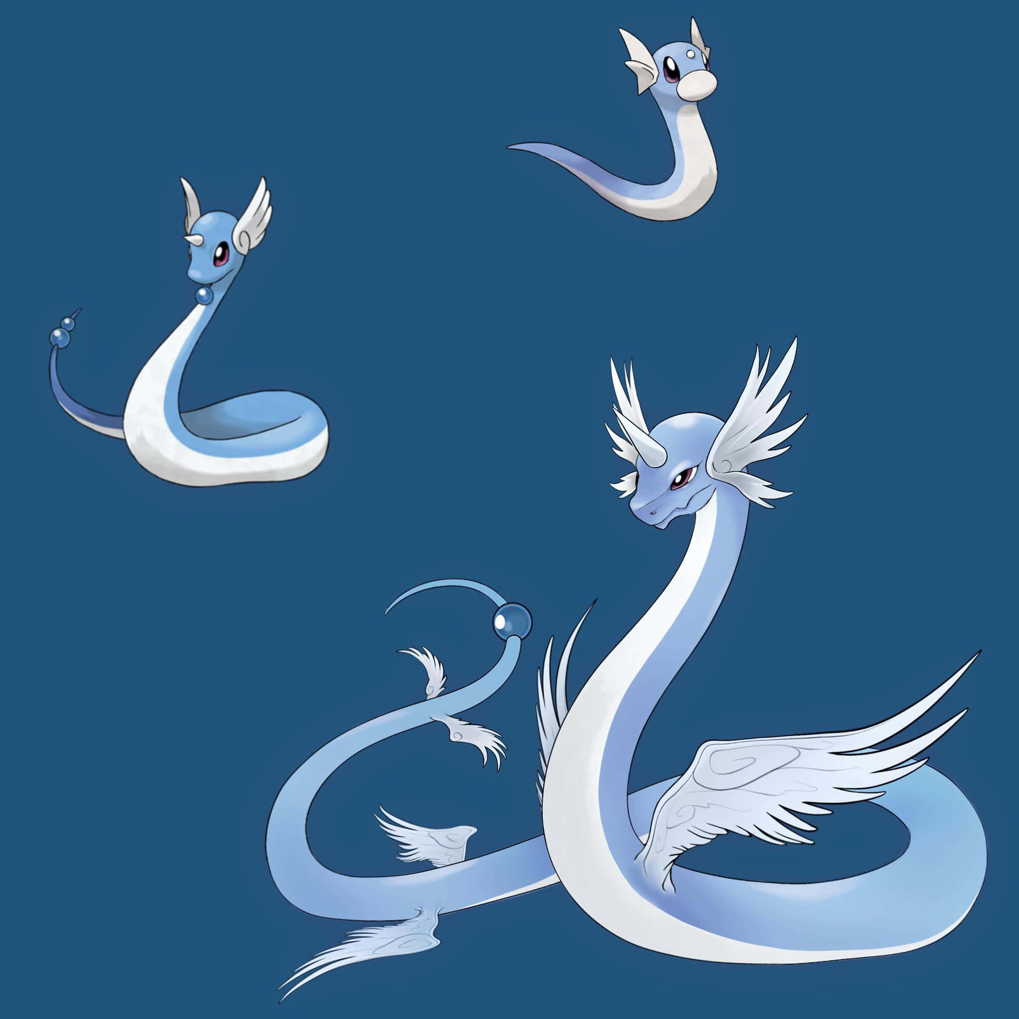 ภาพประกอบ Dragonair และ Dratini พื้นหลังสีน้ำเงิน วอลเปเปอร์