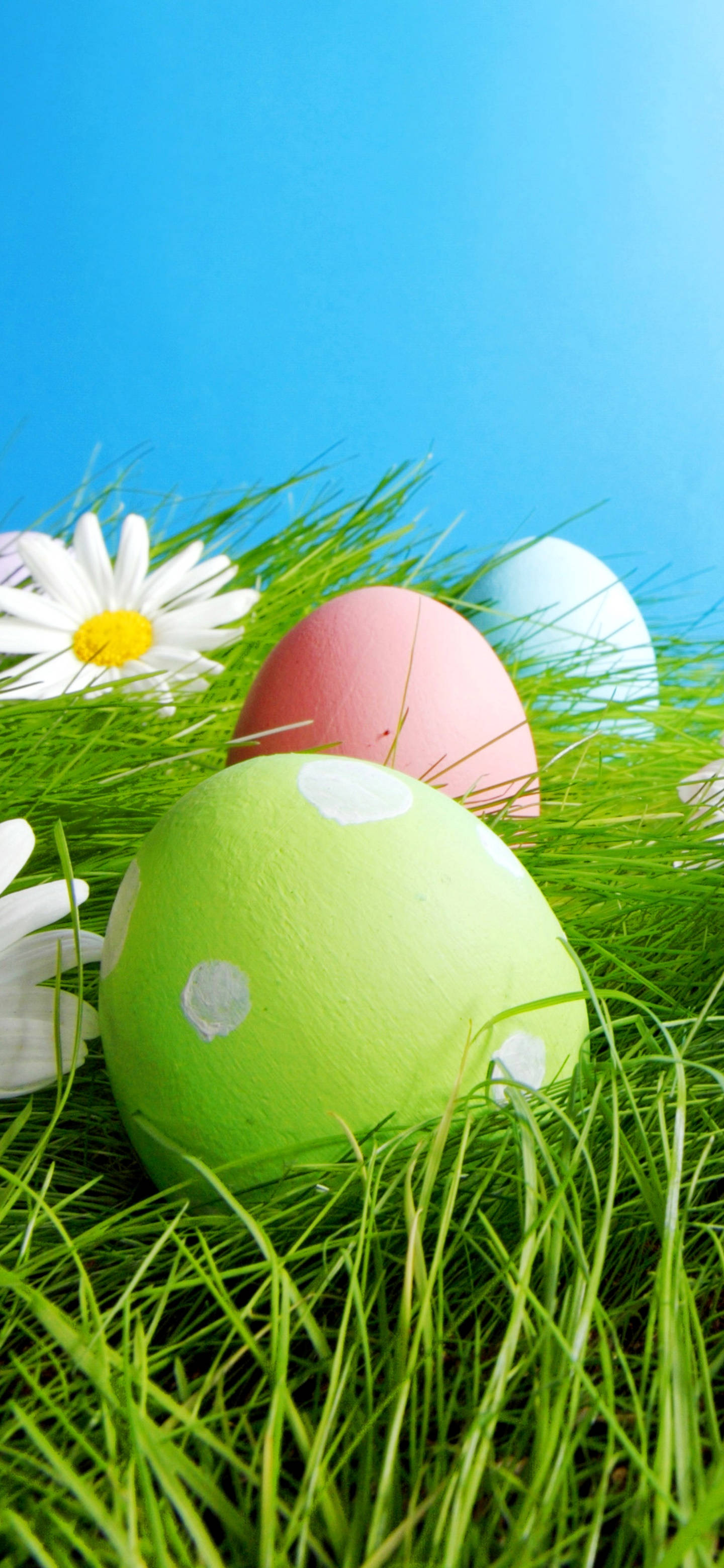 เฉลิมฉลองอีสเตอร์อย่างมีสไตล์กับ Easter Phone วอลเปเปอร์