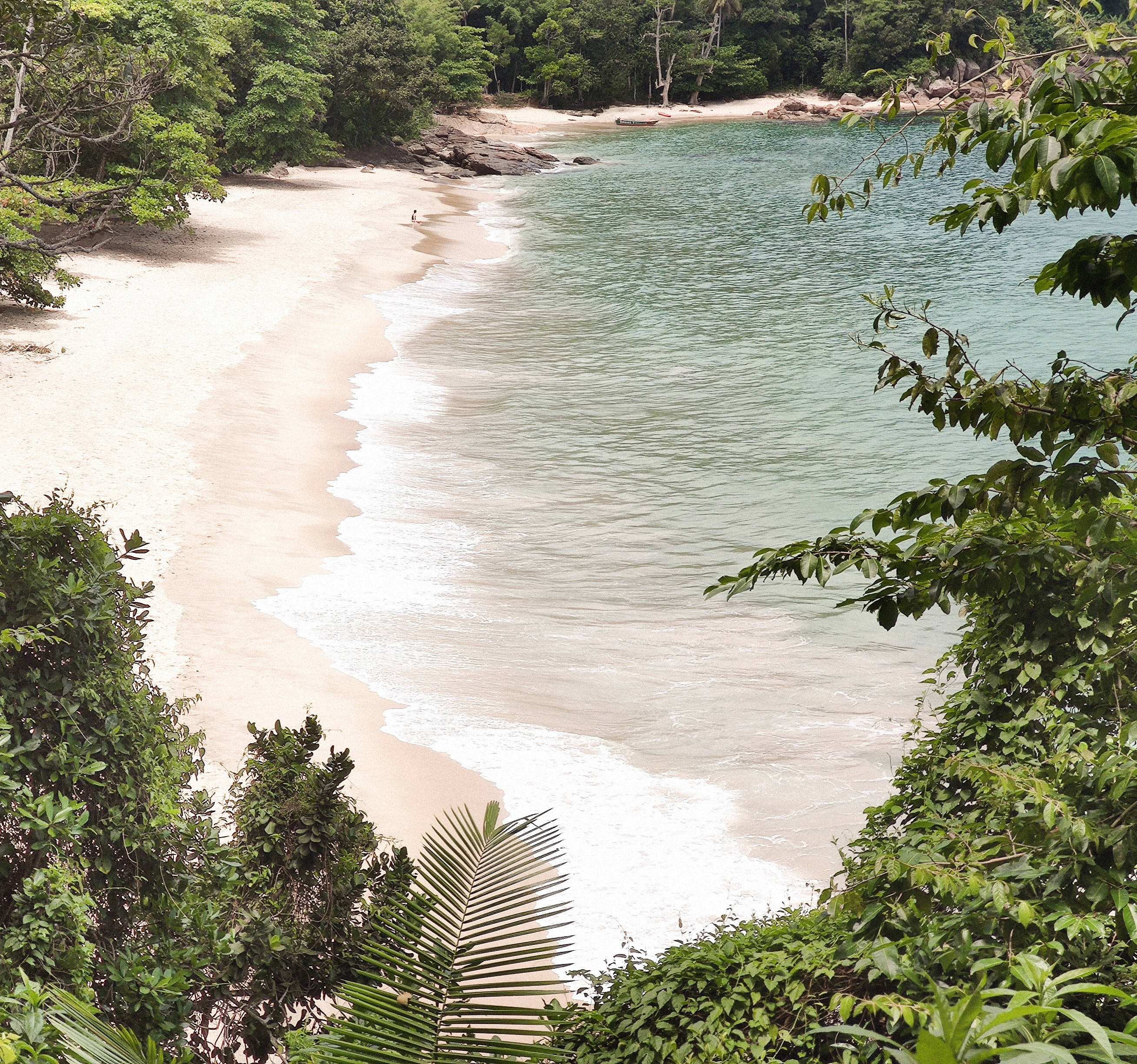 เพลิดเพลินกับชายหาดเขตร้อนสุด exotic วอลเปเปอร์