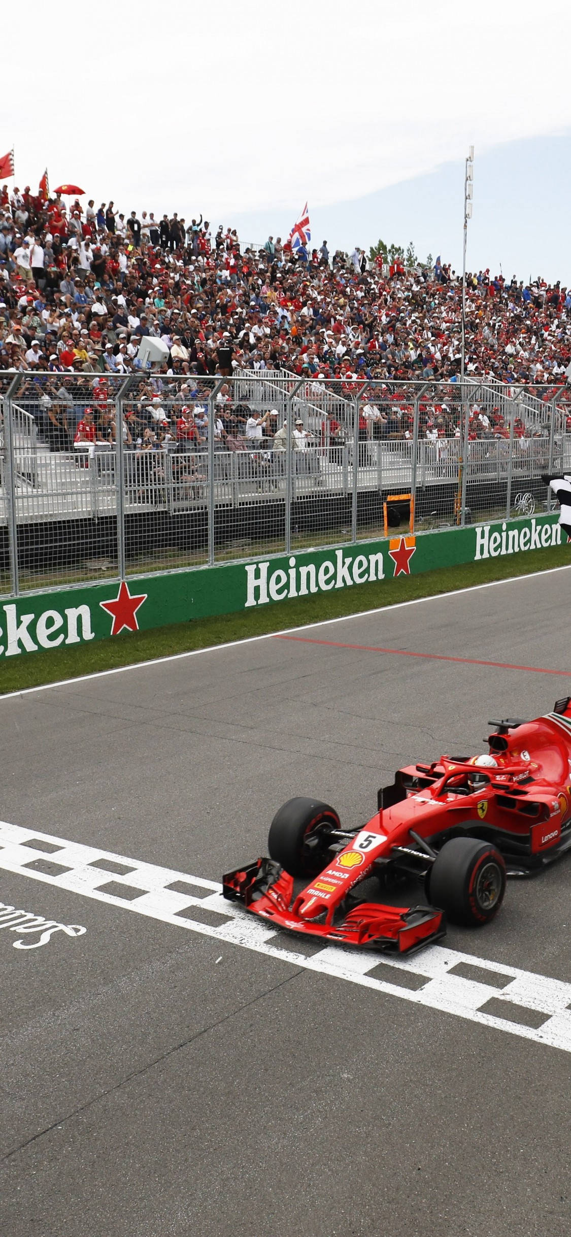 F1 เวตเทล เส้นชัย iPhone วอลเปเปอร์