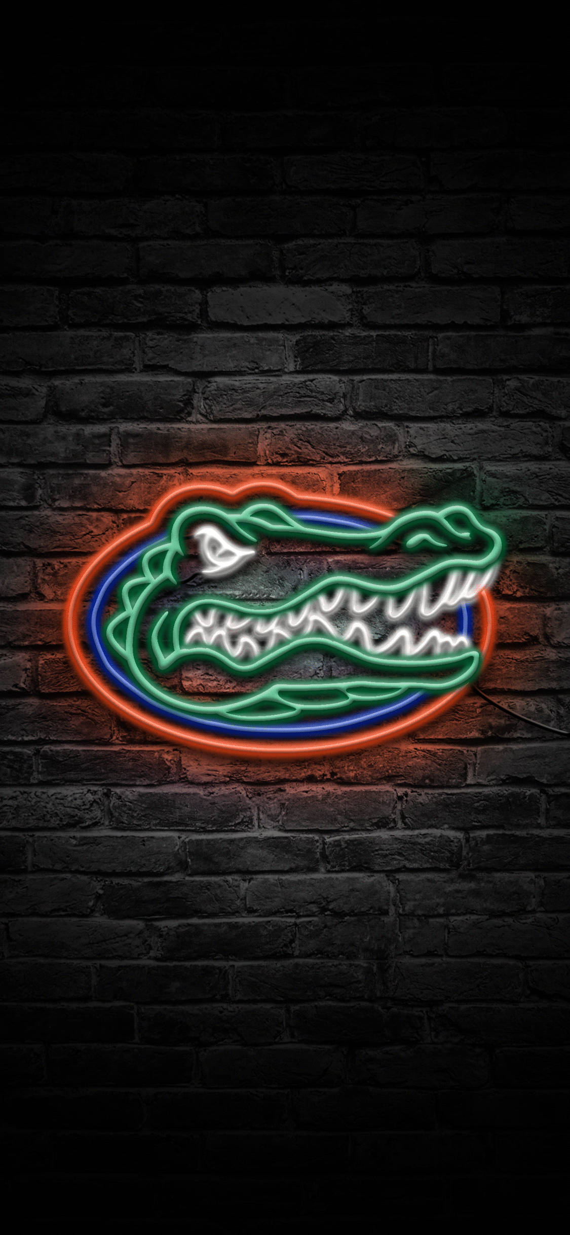 โลโก้ Florida Gators ในแสงนีออน วอลเปเปอร์
