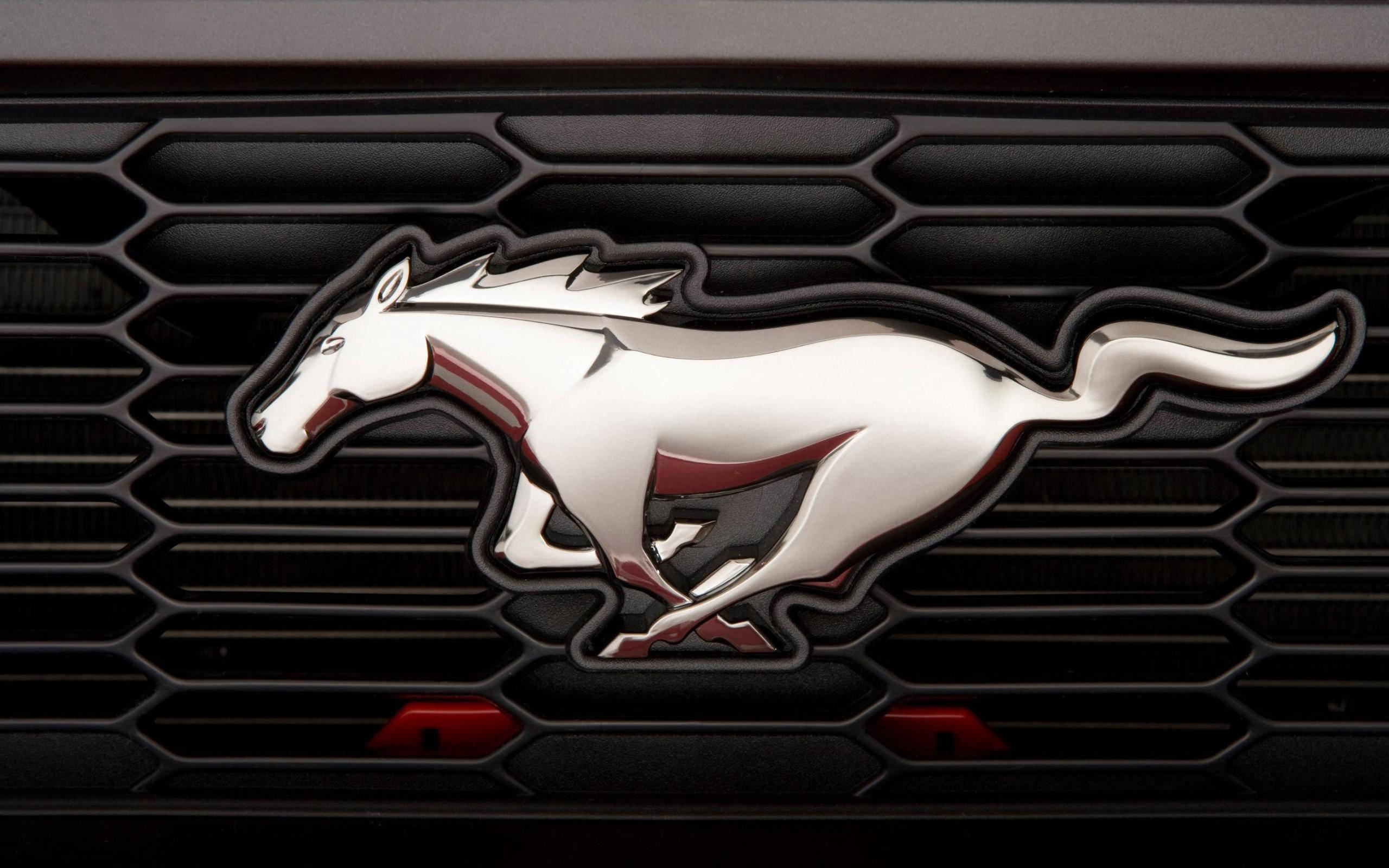 โลโก้ Ford Mustang HD - ความสง่างามที่ผสานกับพลัง วอลเปเปอร์