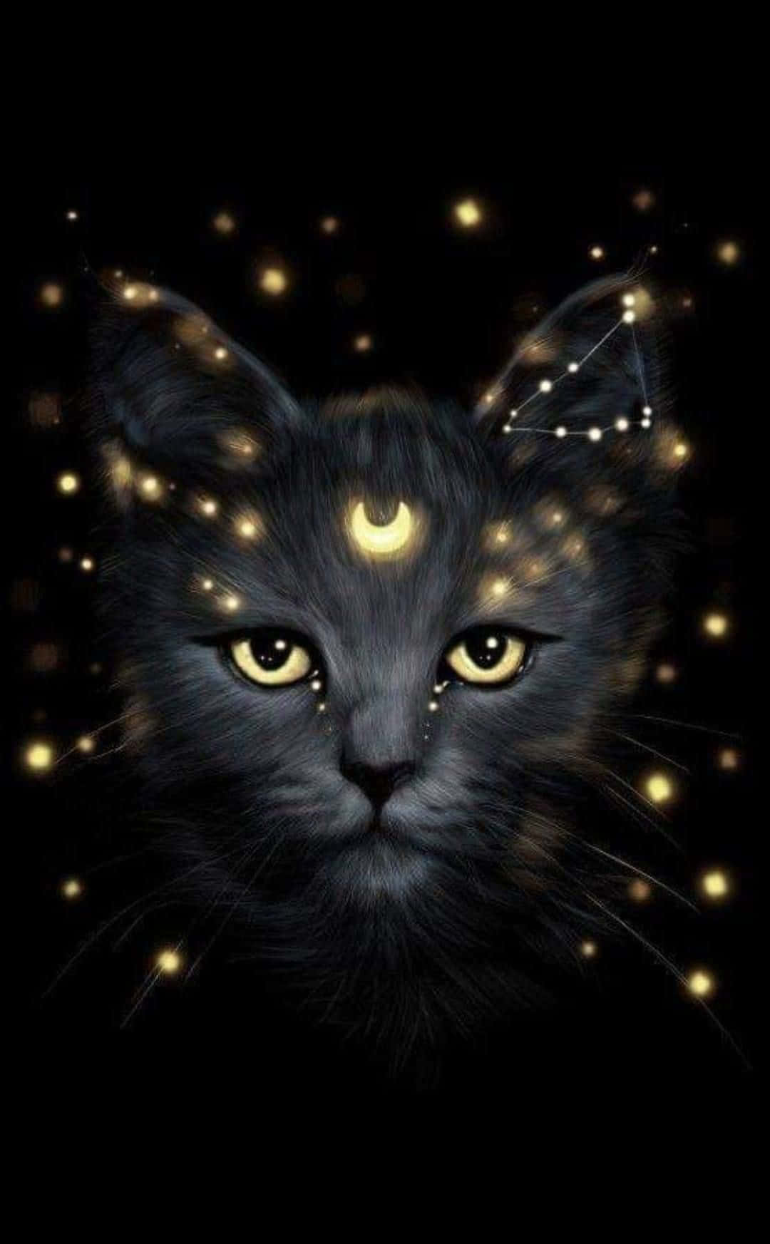 ผจญภัยในจักรวาลกับ Galaxy Cat วอลเปเปอร์