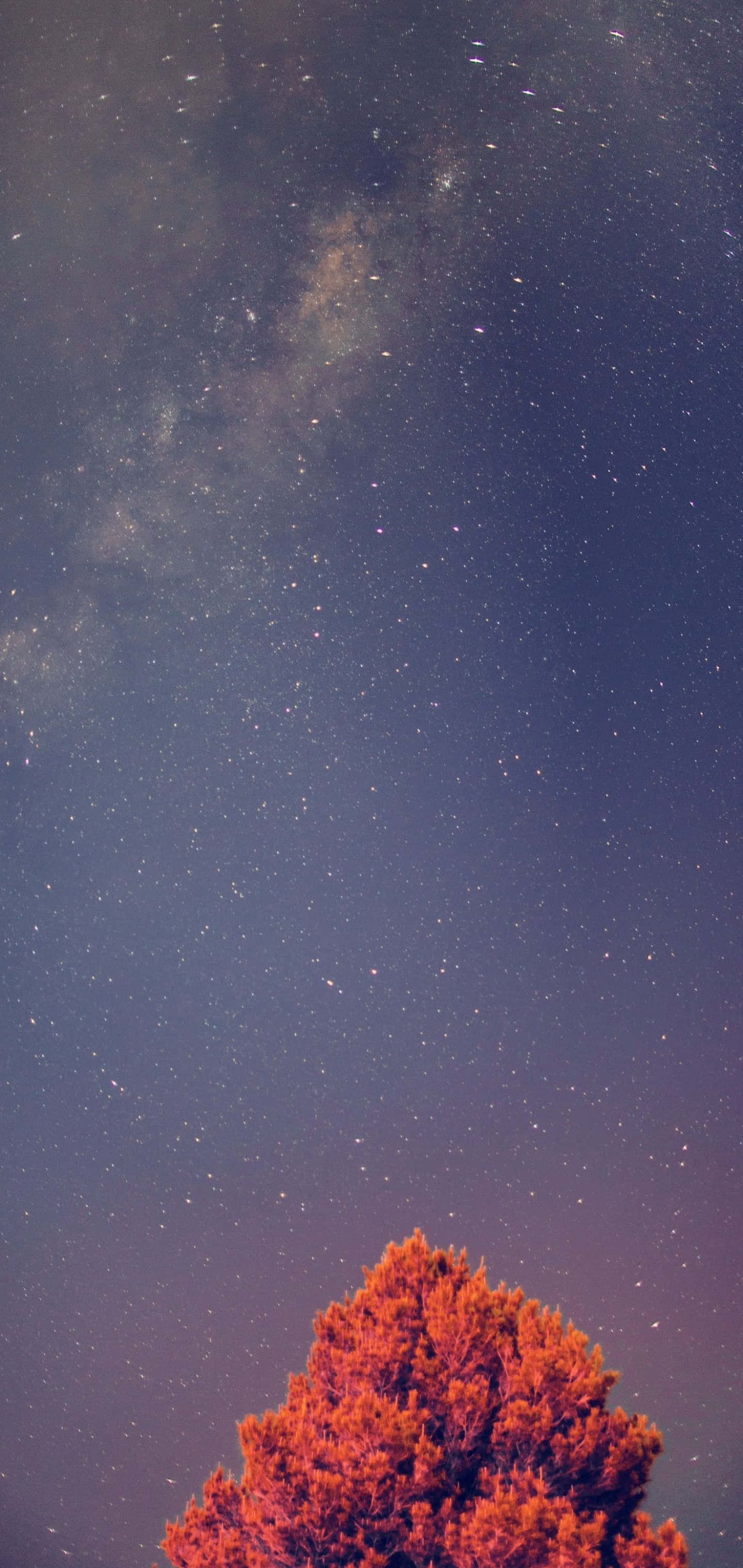 พื้นหลัง Galaxy S10 Plus วอลเปเปอร์