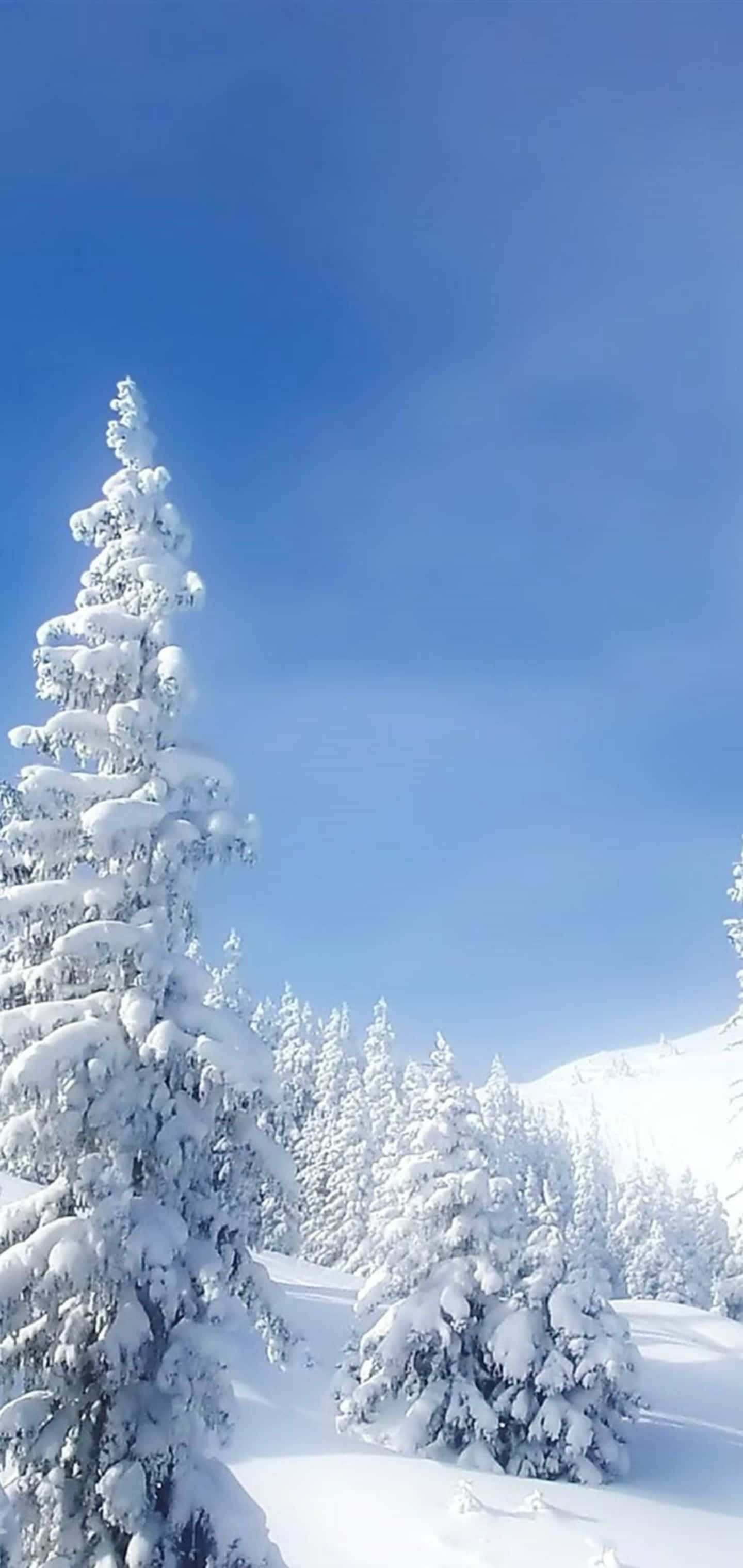 พื้นหลัง Galaxy S10 Plus วอลเปเปอร์