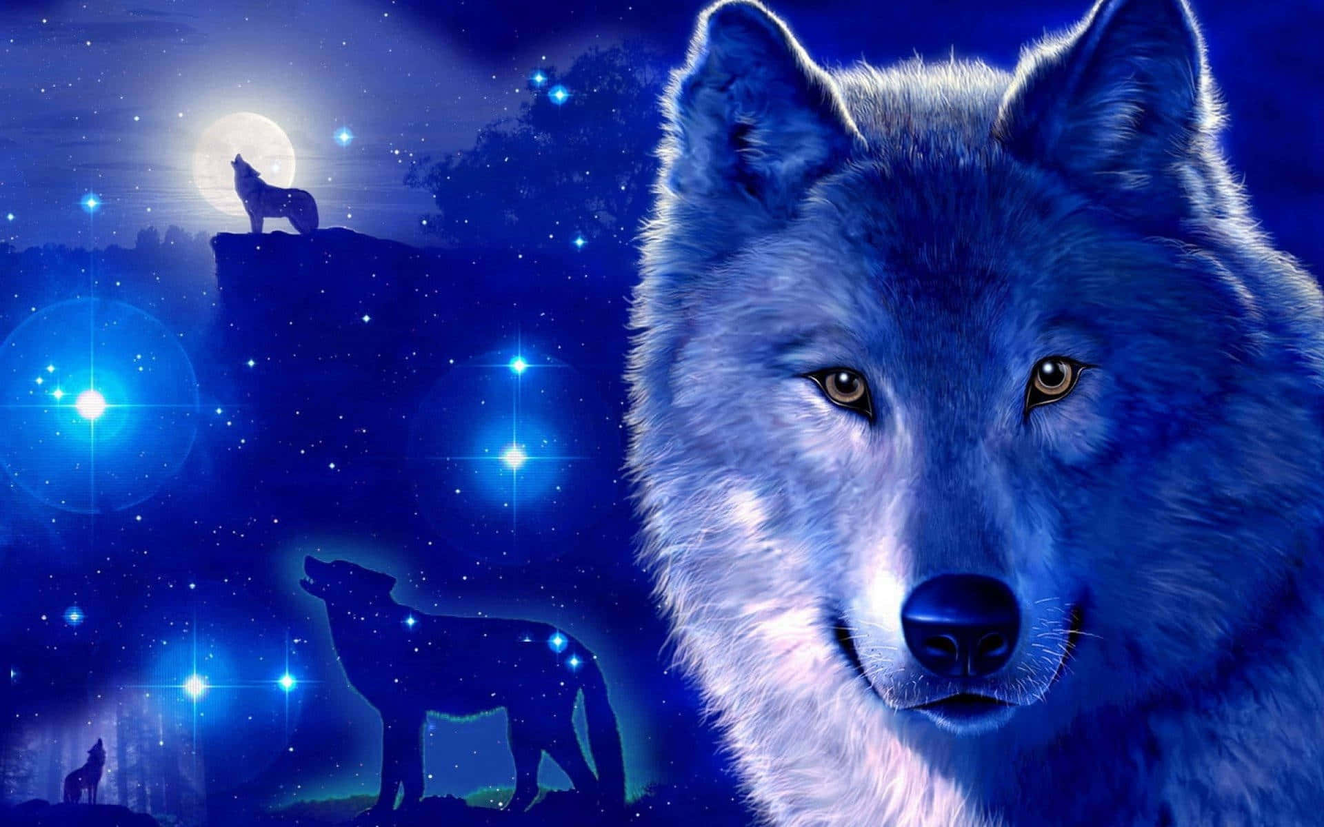 สัมผัสความงามของดวงดาวกับ Galaxy Wolf วอลเปเปอร์