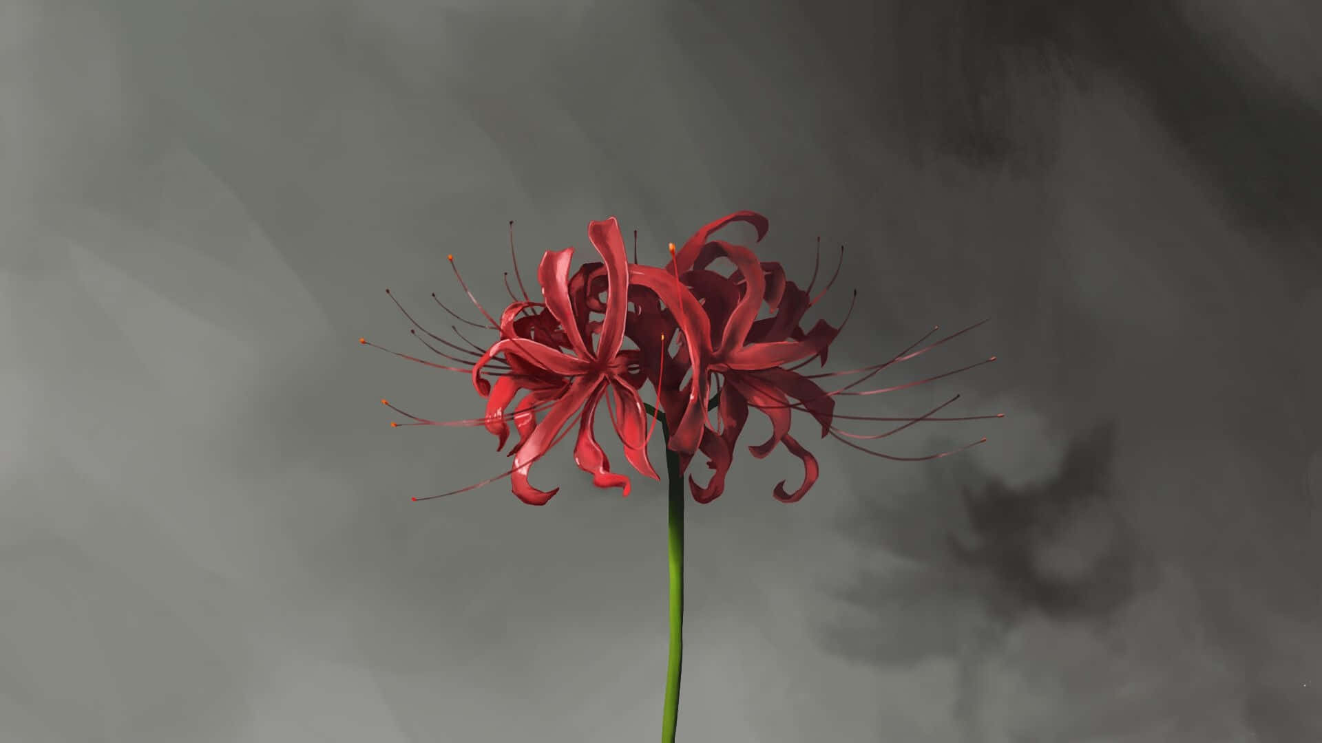 ดอกไม้โตเกียว Ghoul กับเงา วอลเปเปอร์