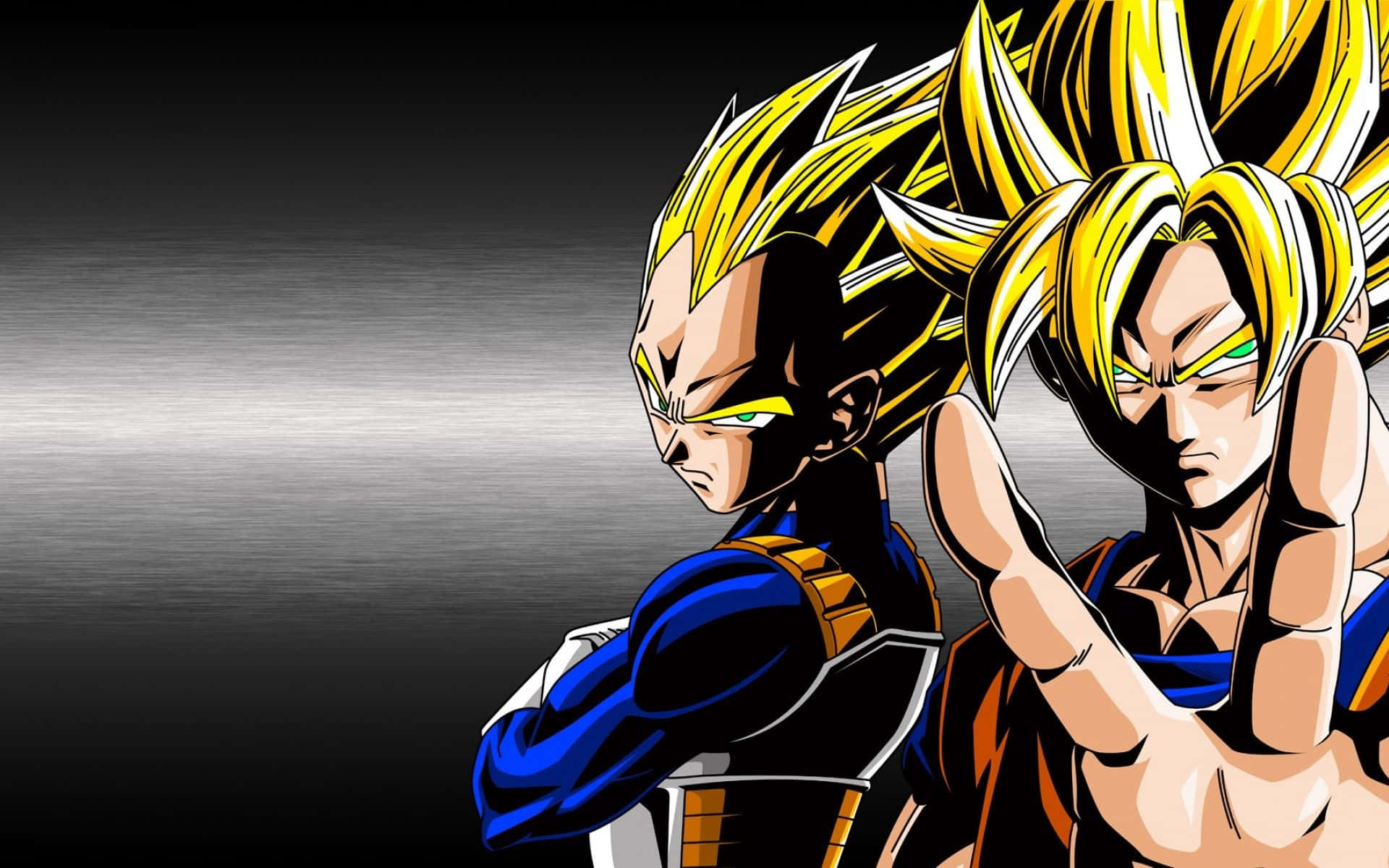 Goku และ Vegeta — ดราก้อนบอล Z GIF วอลเปเปอร์