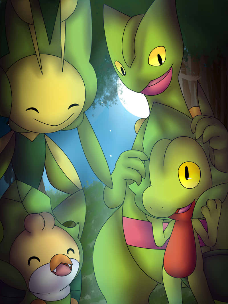 Grovyle กับโปเกมอนสีเขียว วอลเปเปอร์