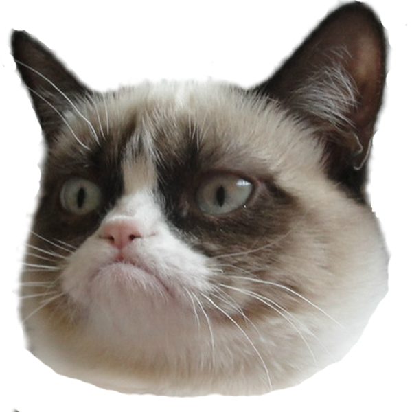 Grumpy Cat หัว พื้นหลังโปร่งใส.PNG วอลเปเปอร์
