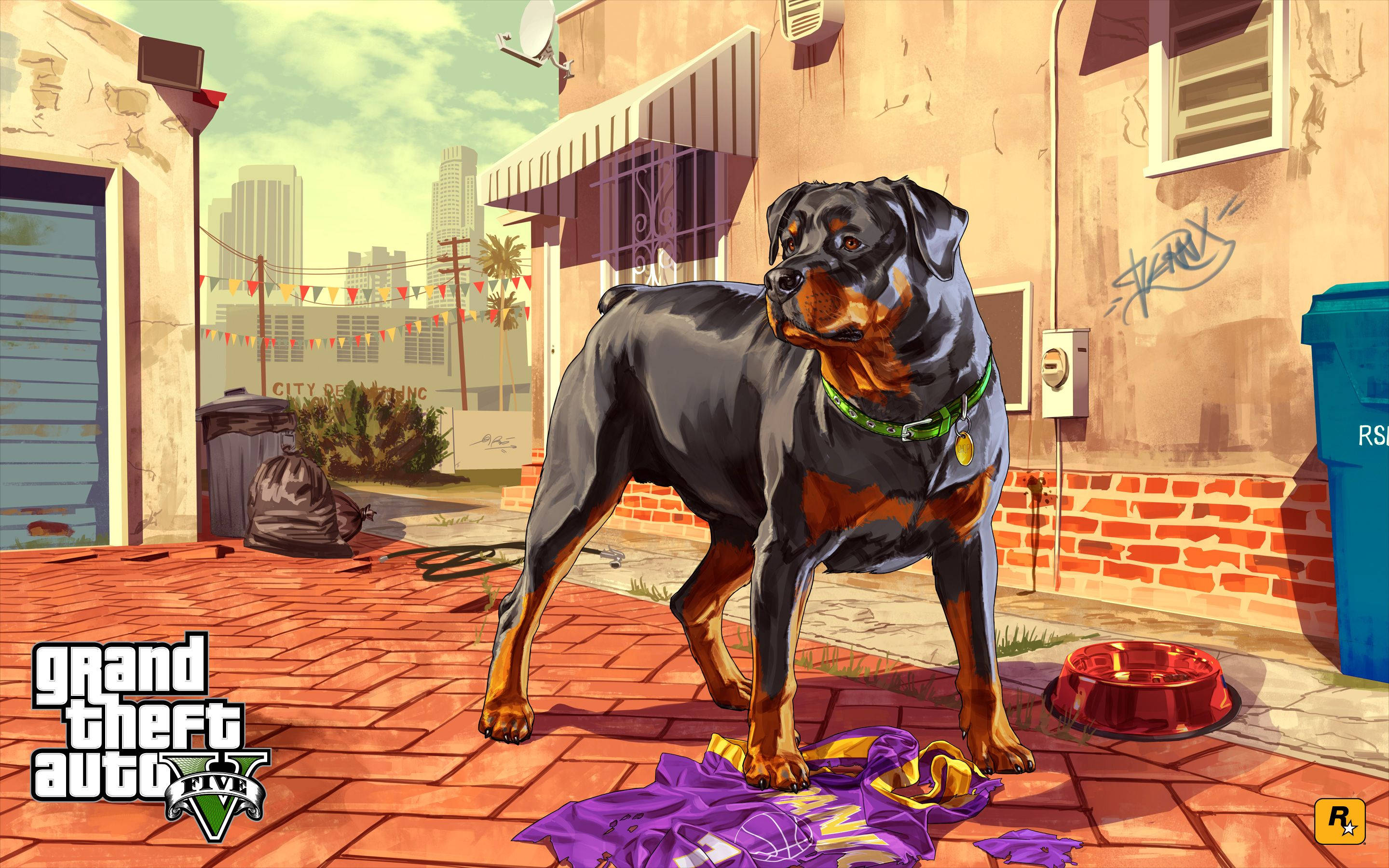 GTA San Andreas 4K: สุนัขพันธุ์ร็อตไวเลอร์ชื่อชอป วอลเปเปอร์